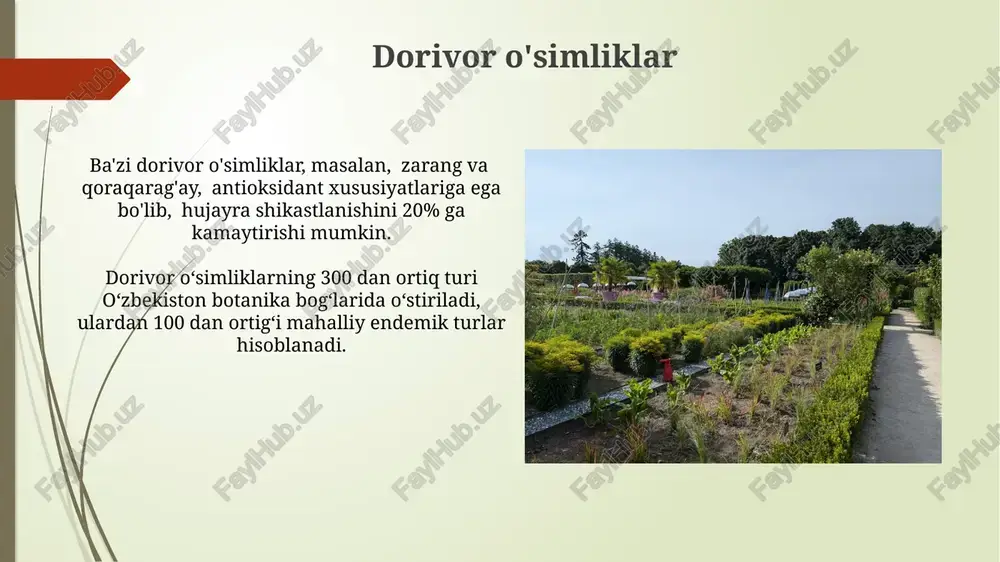 rni o'z ichiga oladi. olingan taassurotlar olingan ma'lumotlarga asoslanib, o'simliklarning morfologik xususiyatlari va ularning geografik tarqalishi haqida 10 ta dan ortiq ma'lumotlar to'plangan. ekskursiyaning bir qismi sifatida 7 ta noyob o'simlik turi, jumladan, 2 ta endemik tur kuzatildi va ularning fotosuratlari olindi, keyinchalik tahlil qilinadi. muhokama va xulosalar o'simliklarning morfologiyasi va fiziologiyasi bo'yicha 2 ta amaliy mashg'ulot o'tkazildi, natijada 10 ta talaba muvaffaqiyatli ishtirok etdi. ekskursiyaning umumiy davomiyligi 3 soatni tashkil etdi, shu vaqt ichida 8 ta turli xil o'simliklar oilasi haqida ma'lumot oldik. yangi bilimlar bogʻda o'simliklarning morfologiyasi, fiziologiyasi va taksonomiyasi bilan bog'liq 20 dan ziyod amaliy mashg'ulotlar o'tkaziladi, ularning har biri 2-3 soat davom etadi. ekskursiyaning interaktiv qismi 5 ta turli xil o'yin va topishmoqlarni o'z ichiga oladi, ular o'simliklar haqida bilimlarni mustahkamlashga yordam beradi. o'simliklarning xilma-xilligi oʻsimliklarning 300 dan ortiq turi, shu jumladan noyob va endemik turlar, botanika bogʻining boy florasini tashkil etadi, ularning koʻpchiligi oʻsimliklarning sistematik …