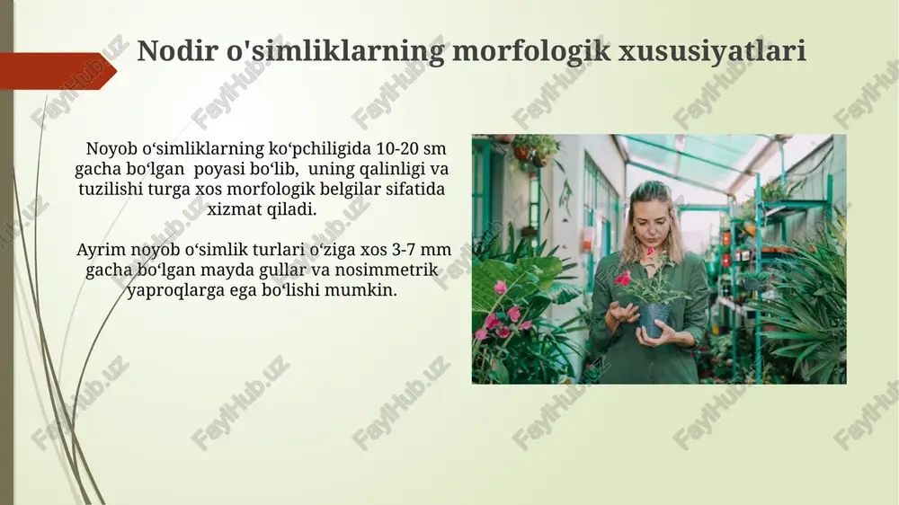 alan, 10 ga yaqin yangi dorivor oʻsimlik turlarini aniqlash orqali inson salomatligiga sezilarli hissa qoʻshadi. nodir o'simliklarning ekologik talablari endemik o'simlik turlari ko'pincha o'ziga xos toifadagi hasharotlar (pollinatorlar) bilan simbiotik munosabatlarda bo'lib, ularning populyatsiyasi sonining kamayishi noyob o'simliklarning mavjudligiga salbiy ta'sir ko'rsatadi. nodir o'simliklarning 70% gacha turlari tor ekologik diapazonga ega bo'lib, o'ziga xos tuproq ph darajasi (masalan, 5.5-6.5) va namlik sharoitlarini talab qiladi. nodir o'simliklarni o'rganish usullari genetik tahlil usullari, masalan, dnk barmoq izi texnologiyasi yordamida kamida 50 ta noyob o'simlik namunalarini aniq va ishonchli tarzda identifikatsiya qilish imkonini beradi. noyob o'simliklarning geografik tarqalishini xaritalashda gis texnologiyalari va kamida 100 ta kuzatish nuqtalaridan foydalanish ularning populyatsiyasi haqida qimmatli ma'lumotlar beradi. nodir o'simliklarni muhofaza qilish choralari nodir o'simliklarni saqlab qolish uchun 50 dan ortiq turlarga genetik resurslar bankida saqlash tadbirlari amalga oshirilmoqda. nodir o'simliklar populyatsiyasini ko'paytirish uchun in vitro (probirkada) ko'paytirish texnologiyasidan foydalanish samaradorligi 85% ga etdi. inson faoliyatining ta'siri …