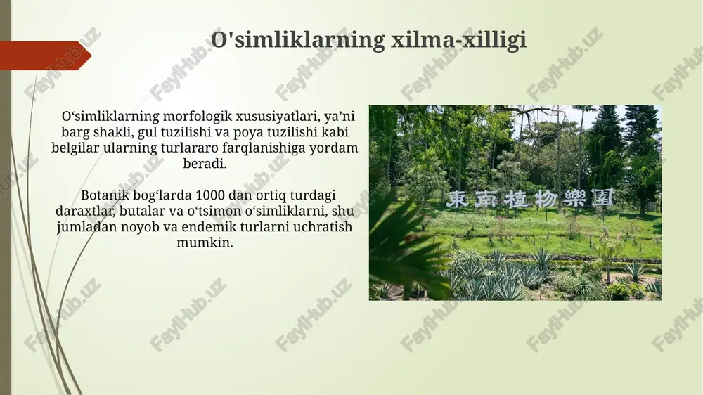g shifobaxsh xususiyatlari haqida batafsil ma'lumot olishingiz mumkin. 20 dan ziyod gul va daraxt turlarining nomlarini bilib, ularning tasnifi, kelib chiqishi va parvarishi bo'yicha amaliy maslahatlarni eshitasiz. adabiyotlar “adabiyotlar” botanika bog‘ida o‘tkazilgan ilmiy tadqiqotlar natijalariga ko‘ra, 50 dan ortiq dori-darmon o‘simliklari aniqlangan. bog‘ning landshaft dizayni 19-asr oxiri va 20-asr boshlariga oid me’moriy uslublarni aks ettirib, tarixiy ahamiyatga ega. botanika bog'ining tuzilishi bog' hududining taxminan 30% ni noyob o'simliklarni muhofaza qilishga qaratilgan maxsus yopiq issiqxonalar va laboratoriyalar egallaydi, bu yerda 500 dan ortiq turdagi o'simliklar yetishtiriladi. botanika bog'ining tuzilishi geografik joylashuviga va o'simliklarning xilma-xilligi hisobga olingan holda, 10 dan ortiq tematik bo'limlarga, shu jumladan noyob va endemik turlarga ajratilgan. sayohatdan taassurotlar bog'da 10 ga yaqin turli xil landshaft zonalari mavjud bo'lib, ularning har biri o'ziga xos mikroiqlim va o'simlik turlariga ega ekanligini bilib oldik. ekskursiyaning umumiy davomiyligi 3 soatni tashkil etdi, bu vaqt ichida 2 ta ma'ruza tingladik va 5 ta …