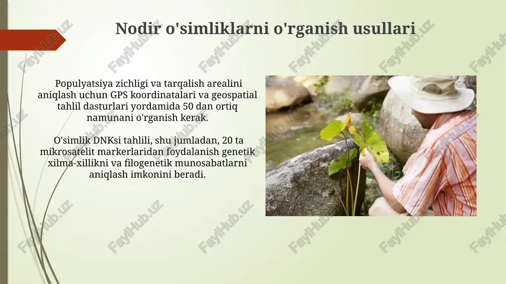 iritilgan nodir oʻsimliklar 9 kategoriyaga boʻlinadi, bu ularning yoʻqolib ketish xavfi darajasini koʻrsatadi; 1-toifa yoʻqolib ketish xavfi yuqori boʻlgan turlarni oʻz ichiga oladi. endemik nodir oʻsimliklar geografik tarqalishi jihatidan cheklangan boʻlib, ularning 70% dan ortigʻi faqat bitta mintaqada uchraydi va shu sababli ularning himoyasi juda muhimdir. botanika bog'idagi nodir o'simliklar to'plami ba'zi nodir o'simliklar, masalan, fergana vodiysining endemiklari, faqat shu botanika bog'ida in vitro sharoitida ko'paytirilmoqda. botanika bog'ida 150 dan ortiq nodir va endemik o'simlik turlari, jumladan, qizil kitobga kiritilgan 20 dan ziyod turi saqlanadi. nodir o'simliklarning morfologik xususiyatlari ayrim noyob turlarining gulining diametri 2-3 sm bo'lib, 5 ta gulbargdan iborat, ranglari esa oq, pushti yoki binafsha ranglarda bo'lishi mumkin. nodir o'simliklarning ba'zilari 5-7 bargli murakkab barglarga ega bo'lib, ularning uzunligi 10-15 sm gacha yetishi mumkin. nodir o'simliklarning himoyasi va muhofazasi nodir o'simliklarni muhofaza qilish uchun genetik resurslarni saqlash banklari, in situ va ex situ usullaridan foydalaniladi. o'simliklarning 5-10%i birlamchi …