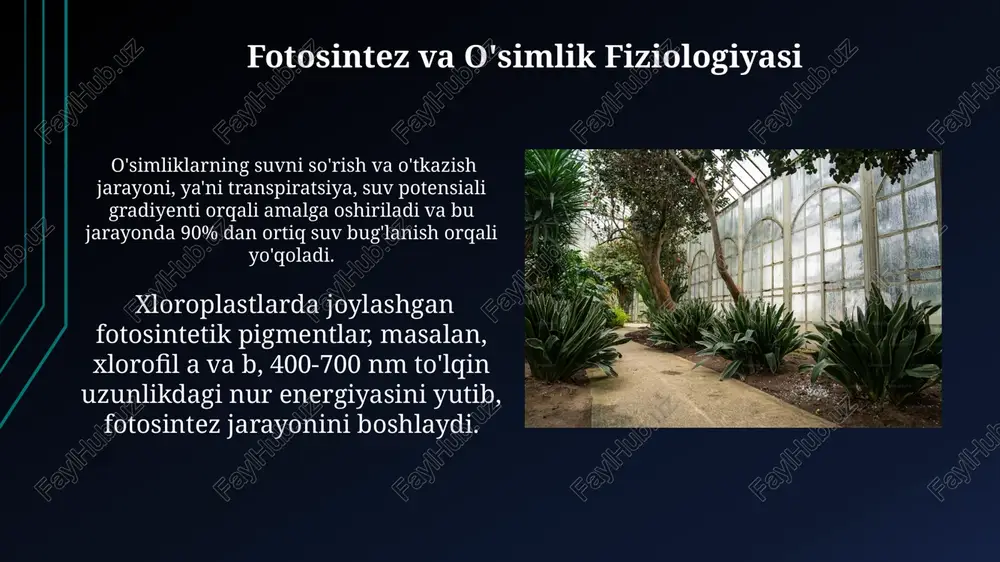 motlarni tahlil qilish to'plangan ma'lumotlarni tahlil qilishda, o'simlik turlarini aniqlash uchun kamida 100 ta namunadan foydalanish va ularni morfologik xususiyatlari bo'yicha 5 ta guruhga ajratish tavsiya etiladi. o'simliklarning geografik tarqalishi va zichligi haqidagi ma'lumotlarni xaritalashda, gps koordinatalaridan foydalanib, 20 dan ortiq nuqtadagi o'simlik namunalarini qayd etish kerak. e'tiboringiz uchun rahmat @taqdimot_robot image1.jpg image2.jpg image3.jpg image4.jpg image5.jpg image6.jpg image7.jpg image8.jpg image9.jpg image10.jpg image11.jpg image12.jpg