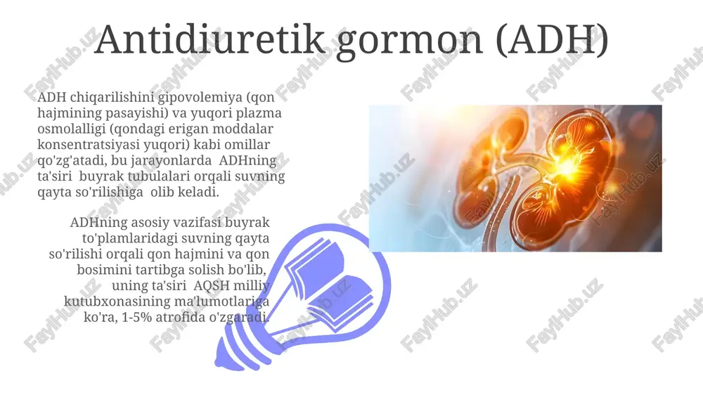 rda sekresiya qilinadi, bu jarayon aldosteron gormoni tomonidan tartibga solinadi va ekstrasellular kaliy konsentratsiyasini saqlashda muhimdir. kaltsiyning buyrak orqali reabsorbsiyasi uch bosqichda sodir bo'ladi, taxminan 98-99% glomerulyar filtratdagi kaltsiy qaytariladi va parathormon reabsorbsiya jarayonini tartibga soladi. buyrakning konsentratsion funksiyasi medullar interstitsial suyuqlikdagi yuqori osmolallik (1200 mosm/kg gacha) henle pastadigining uzunligi va qon oqimi tezligiga bog'liq bo'lib, siydikni konsentratsiyalash uchun zarur shart-sharoitlarni yaratadi. buyrakning konsentratsion funksiyasi siydikning osmolalligi 1200 mosm/kg gacha yetishiga imkon beradi, bu esa suvning qayta so'rilishi va organizmda suv-tuz muvozanatini saqlashda muhim rol o'ynaydi. kislota-ishqor muvozanati 01 02 buyraklar qondagi ortiqcha kislotani siydik bilan chiqarish orqali, shuningdek, bikarbonat (hco3-) ionlarini qayta soʻrib olish orqali kislota-ishqor muvozanatini tartibga soladi, bu jarayonlar buyrak naychalarida sodir boʻladi. sales 1st qtr 2nd qtr 100 0 sales 1st qtr 2nd qtr 100 0 buyrak yetishmovchiligi buyrak yetishmovchiligining asosiy belgilari – shish, yuqori qon bosimi va siydik chiqarishning kamayishi bo'lib, gfr (glomerulyar filtratsiya tezligi) …