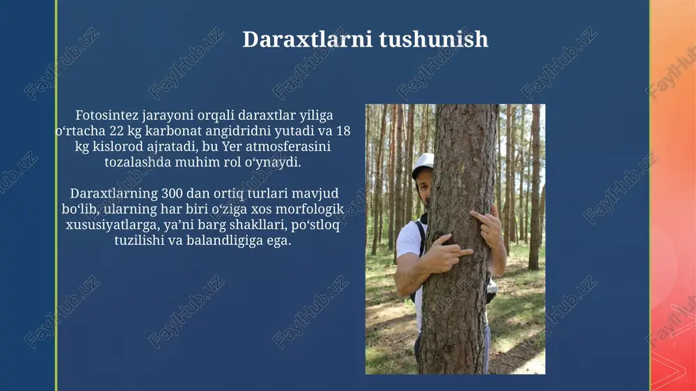 daraxtlar haqida tushuncha - Page 3