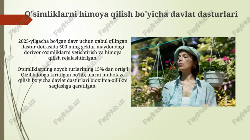 yig'im-terimga qarshi kurashish choralarini kuchaytirish kerak. o'simliklarning 100 dan ortiq turi "qizil kitob"ga kiritilgan bo'lib, ularning yig'ib olinishi va sotilishi qonun bilan cheklangan. bu noyob turlarning yo'qolib ketishining oldini olishga qaratilgan. tabiiy dorilar va ularning qo'llanilishi ayrim o'simlik dorilarining terapevtik dozasini aniqlashda biokimyoviy tahlillar va klinik sinovlar orqali o'rtacha 3-5 yil davom etadigan tadqiqotlar o'tkaziladi. o'simlik dorilarining 70% dan ortig'i yallig'lanishga qarshi, og'riq qoldiruvchi va antiseptik xususiyatlarga ega bo'lib, an'anaviy tibbiyotda keng qo'llaniladi. dorivor o'simliklarni yetishtirish va yig'ish yig'im-terim davrida o'simliklarning 20-30%ini keyingi yil uchun urug'lik sifatida ajratish muhim, bu biologik xilma-xillikni saqlashga yordam beradi. dorivor o'simliklarni yetishtirishda 1 gektar maydonga 5000 tagacha ko'chat ekish mumkin, bu esa hosildorlikni 2-3 barobar oshirish imkonini beradi. o'simliklardan dorilar tayyorlash texnologiyalari ekstraksiya usullaridan, masalan, suvli, spirtli yoki superkritik co2 ekstraksiyasi tanlash, maqsadli bioaktiv birikmalarning kimyoviy xususiyatlariga bog'liq bo'lib, 90% dan yuqori chiqimni ta'minlashi mumkin. dorivor o'simlik preparatlarini standartlashtirish uchun yuqori samarali suyuqlik xromatografiyasi …