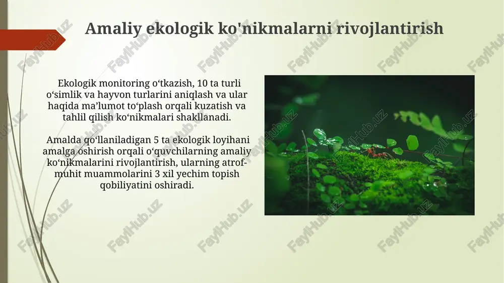 5 dan ortiq muhim fanlar oliy o'quv yurtlarida majburiy o'qitiladi, bu esa kelajak mutaxassislarining ekologik savodxonligini ta'minlaydi. oliy o'quv yurtlarida ekologik ta'limning 30% dan ortig'i amaliy mashg'ulotlar, laboratoriya ishlari va dala tadqiqotlariga bag'ishlangan bo'lib, talabalarning amaliy ko'nikmalarini shakllantirishga qaratilgan. interfaol o'quv uslublari ekologik ta'limda simulyatsiya va o'yinlar, jumladan, 7-10 yoshli bolalar uchun mo'ljallangan "ekologik shahar" kabi o'yinlar, ekologik tushunchalarni o'zlashtirishni osonlashtiradi va ularning atrof-muhitga bo'lgan munosabatini shakllantirishga yordam beradi. interaktiv elektron ta'lim resurslari, jumladan, 20 dan ortiq onlayn testlar va 3d modellashtirish, ekologik bilimlarni chuqurlashtirish, mustaqil o'rganish va ma'lumotlarni vizualizatsiya qilish imkonini beradi. umumiy o'rta ta'lim muassasalarida ekologik ta'lim ekologik ta'limning muhim tarkibiy qismi sifatida 10-11-sinflarda atrof-muhit muhofazasi va barqaror rivojlanishga oid tanlov fanlari kiritilishi o'quvchilarning professional yo'nalishini shakllantirishga yordam beradi. o'quv dasturlarida 30% dan ortiq ekologik bilimlarni o'z ichiga oluvchi fanlar (biologiya, geografiya, tabiiyshunoslik) bo'yicha o'qituvchilarning malakasini oshirish ekologik savodxonlik darajasini sezilarli darajada oshiradi. ekologik ta'limning mohiyati tabiatni asrashga …