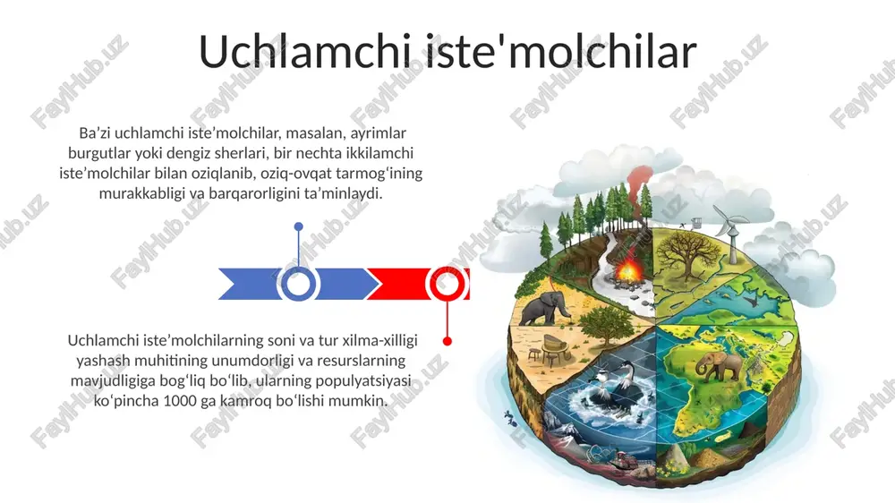 rgiya oʻtish samaradorligi taxminan 10% ni tashkil etadi, qolgan 90% nafas olish va boshqa jarayonlarga sarflanadi. ekosistemning tropik tuzulimi ekosistemdagi 4 ta tropik darajadan ortiq boʻlishi mumkin, bu esa oziq-ovqat zanjiri va oziq-ovqat toʻri murakkabligini koʻrsatadi, bu esa 10% qoidasi bilan energiya oʻtishini cheklaydi. parazitlar va saprofitlar kabi dekompozitorlar, oziq-ovqat zanjiri tarkibida 5-10% atrofida energiyani qayta ishlashda muhim rol oʻynaydi, bu esa ekosistemning barqarorligiga hissa qo'shadi. son piramidasi son piramidasining shakli har xil bo'lishi mumkin, masalan, parazitlar sonining ko'pligi sababli, ba'zi hollarda, yuqori trofik darajada organizmlar soni pastki darajalarga nisbatan ko'proq bo'lishi mumkin. son piramidasida, oziq-ovqat zanjiri bo'yicha har bir trofik darajadagi organizmlar sonining kamayishi kuzatiladi, masalan, 1000 o't o'simliklariga 100 qo'ng'iz, 10 qurbaqa va 1 ilon to'g'ri keladi. oziq-ovqat zanjiri parazitlar va saprofitlar kabi organizmlar oziq-ovqat zanjiri ichida organik moddalarni qayta ishlashda muhim rol oʻynab, 100% ga yaqin energiya aylanishini taʼminlaydi. birlamchi isteʼmolchilar (oʻtxoʻrlar) oʻsimliklarni isteʼmol qiladi, ikkilamchi isteʼmolchilar …