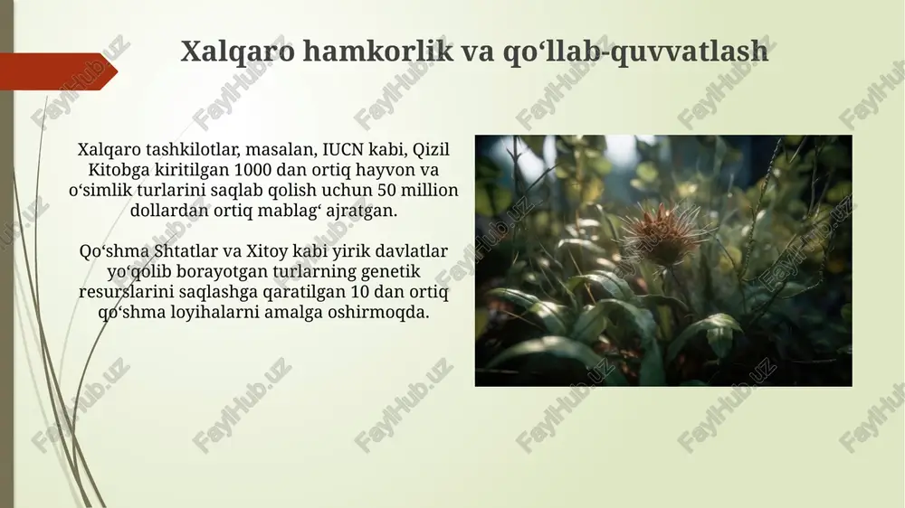 kuchaytirish orqali, kamida 5 ta yangi qoʻriqxona va milliy bogʻlar tashkil etish rejalashtirilgan. muhofaza qilinadigan hududlarning ahamiyati muhofaza qilinadigan hududlar ilmiy tadqiqotlar va ekologik monitoring uchun muhim ahamiyatga ega, ular 50 dan ortiq noyob turdagi fauna va floraning genetik resurslarini saqlab qolishga yordam beradi. muhofaza qilinadigan hududlar bioxilma-xillikni saqlashda muhim rol o‘ynaydi, 1000 dan ortiq noyob o‘simlik va hayvon turlarining yashash joylarini himoya qiladi. hayvonot dunyosining yoʻqolib borayotgan turlari “qizil kitob”da qayd etilgan baʼzi oʻsimlik turlari, masalan, tuproq eroziyasi va oʻrmonlarning kesilishi natijasida soni keskin kamaygan. yoʻqolib borayotgan hayvonot turlarining 50% dan koʻprogʻi yashash joylarining yoʻqolishi va iqlim oʻzgarishi kabi omillar bilan bogʻliq. jamoatchilikning roli va mas’uliyati 500 dan ortiq yoʻqolib borayotgan oʻsimlik va hayvon turlarining monitoringi va himoyasi uchun koʻngillilar jalb qilish, ularning saqlanishiga katta hissa qoʻshadi, bu esa bioxilma-xillikni saqlashga yordam beradi. jamoatchilikning ekologik bilimini oshirish orqali, kamida 10% ga yoʻqolib borayotgan turlarning sonini kamaytirishga hissa qoʻshish mumkin, …