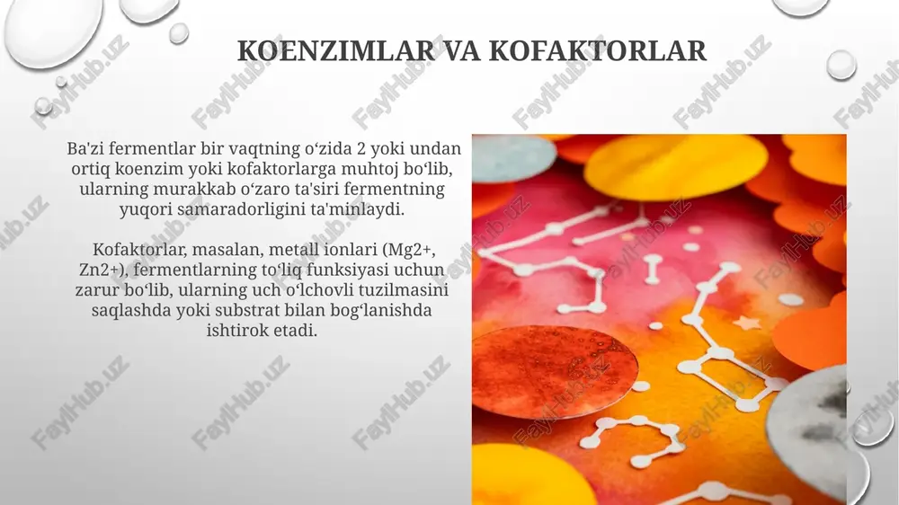 si hosil boʻlishi, aktivlashish energiyasini 10-1000 marta kamaytirib, reaksiya tezligini oshiradi, bu fermentlarning katalitik taʼsiriga misoldir. substratning bog'lanishi ferment-substrat kompleksining hosil bo'lishi, substratning faol markazga bog'lanishining aniq geometriyasi va no-kovalent bog'lanishlar (masalan, vodorod bog'lari, gidrofob ta'sirlar) orqali amalga oshiriladi. substratning fermentga yuqori darajada o'ziga xos bog'lanishi, fermentning faol markazidagi aminokislotalar qoldiqlarining joylashuvi va substratning molekulyar tuzilishi o'rtasidagi to'liq mos kelish tufayli yuz beradi, bu esa 10 -6 m dan past km qiymatlarini beradi. fermentlarning kimyoviy tabiati ba'zi fermentlarning faolligi, kofaktorlar deb ataluvchi metall ionlari yoki kofermentlar (masalan, vitamindan olinganlar) kabi qo'shimcha molekulalarga bog'liq bo'lib, ular fermentning faolligini oshiradi. fermentlarning ko'pchiligi oqsillar bo'lib, ularning molekulyar massalari 10 kda dan 1 mda gacha o'zgarib turadi va murakkab uch o'lchovli tuzilmalarga ega. e'tiboringiz uchun rahmat @taqdimot_robot image3.png image4.jpg image5.jpg image6.jpg image7.jpg image8.jpg image9.jpg image10.jpg image11.jpg image12.jpg image13.jpg image14.jpg image15.jpg image1.png