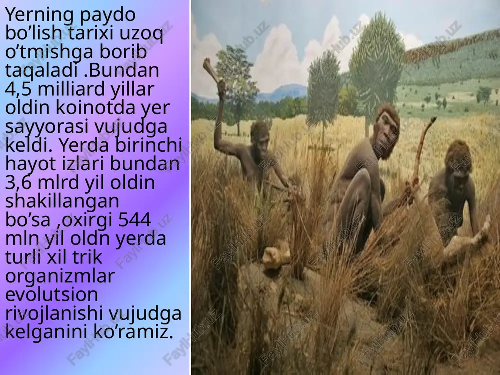 shadi va ularning faotlaridan so’ng bu sohada ularning katta o’gillari richerd ota onasinig ishlarini munosib davomchisi bo’lib qoladi. luis liki 1948-yil keniyaning viktoriya ko’lidan rusinga orolidan 20 mln yoshli bosh suyagi topib, unga pacansual afrikanus deb nom bergan. bu turdagi odam insonlarning ajdodlari uchun na’muna sifatida baholanadi. luis liki bu sohada olib borgan nazariy va paleoantropologik ishlari bilan insoning evolutsiyasi faniga jiddiy ta’sir ko’rsatadi .u hayoti davomida yozgan 150 dan ortiq maqola , 20 ta kitob shuningdek ushbu sohani tushuntirishga hissa qo’shgan ko’plab qazilma va kashfiyotlari bilan bir qatorda u boshqa olimlarni ha insoniyatning ilk beshgi olduvay ekanligini isbotlashga erishgan. 1959- yilda luis liki va meri likilar olduvay darasidan avstrolopitiklardan farq qilmaydigan maymunsimon mavjudotning kalla suyagini va bir nechta tish qismlarini topishiga muvofiq bo’ladilar. bu bosh suyagi o’spiringa tegishli ekanligi aniqlanib luis hazil bilan unga “aziz vau” ya’ni –”aziz bola” deb nomlashga. ehtimol u olduvay darasidan topilgan qurollar muallifi bo’lgan …