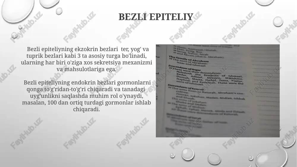 odatda bazal qismda joylashgan. ba’zi silindrsimon epiteliy turkumlarida, masalan, ichak epiteliysida, 20-30 mikrometr uzunlikdagi mikrovilluslar mavjud boʻlib, yuzaning soʻrish maydonini sezilarli darajada oshiradi. ko'p qatlamli yassi epiteliy ko'p qatlamli yassi epiteliy og'iz bo'shlig'i shilliq pardasida ham uchraydi, ammo bu yerda keratinlashgan emas va nam muhitda joylashganligi sababli, namlash va mexanik shikastlanishdan himoya qilish funksiyasini bajaradi. ko'p qatlamli yassi epiteliy terining epidermis qatlamida joylashgan bo'lib, 25 dan ortiq hujayra qatlamiga ega bo'lishi mumkin va mexanik shikastlanishdan himoya qilish vazifasini bajaradi. epiteliy to'qimalarining turlari ko'p qatlamli mushakli epiteliy, masalan, siydik pufagi devorida uchraydi va hujayralarining morfologiyasi bo'yicha o'zgaruvchanligi bilan ajralib turadi, bu ularning cho'ziluvchanligini ta'minlaydi. bezli epiteliy 1, 2 yoki ko'proq hujayralardan iborat bo'lib, sekretsiya funksiyasini bajaradi va ekzokrin yoki endokrin bo'lishi mumkin. epiteliy to'qimalarining klinik ahamiyati tarkibida 5-10% dan ortiq atipiya hujayralari bo'lgan epiteliy to'qimasining topilishi malign o'smalarni erta aniqlashga yordam beradi va bemorning prognozini yaxshilaydi. epiteliy shikastlanishlarining 80% dan ortig'i …