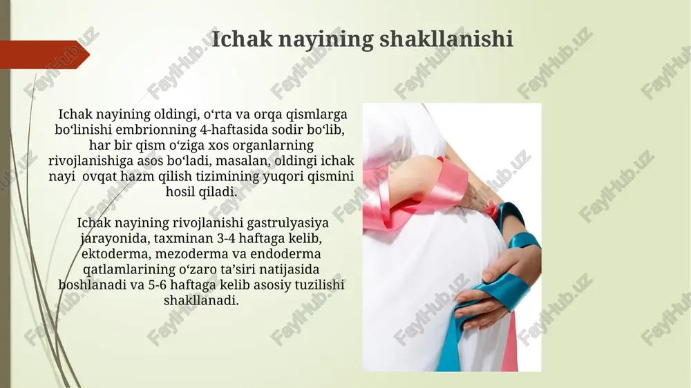 kunlanadi, ammo uning strukturaviy rivojlanishi 18 yoshga qadar davom etadi. tugʻilgandan keyingi birinchi yil ichida jigar hajmi 3-4 barobar ortadi va uning metabolik funktsiyalari, jumladan, glyukoneogenez va bilirubin metabolizmi tez rivojlanadi. postnatal davrda hazm tizimining kasalliklari tugʻilishdan keyingi birinchi yilda chaqaloqlarda ovqat hazm qilish tizimining buzilishi, masalan, reflyuks, koʻpincha 50% gacha hollarda uchraydi va koʻpincha onaning sut tarkibiga bogʻliq. 10 yoshdan oshgan bolalarda irritabl ichak sindromi (ibs) kabi surunkali ovqat hazm qilish muammolari rivojlanishi mumkin, bu esa qorin ogʻrigʻi va ichak harakatlarining oʻzgarishi bilan namoyon boʻladi. immunitet tizimi va hazm tizimi o'zaro ta'siri hazm tizimining disbiozi, ya'ni mikrobiota muvozanatining buzilishi, immunitet tizimining 30% gacha bo'lgan disfunktsiyalariga sabab bo'lishi mumkin. tug'ilishdan keyingi 6 oy ichida, iga antikorlari ishlab chiqarishning oshishi hazm tizimining infektsiyalarga qarshi himoyasini kuchaytiradi. homiladorlik davridagi hazm a'zolari rivojlanishi homiladorlikning 4-haftasida oshqozon-ichak trakti rivojlana boshlaydi va 8-haftagacha asosiy tuzilmalari, shu jumladan oshqozon, ingichka va yo'g'on ichak hosil bo'ladi. homiladorlikning …