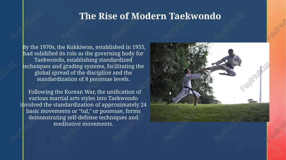 history of taekwondo - Page 3
