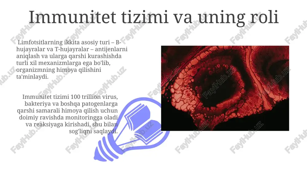 5-5.5x10¹²/l) va gemoglobin (120-140 g/l) ko'rsatkichlarini aniqlashni o'z ichiga oladi, bu qonning umumiy holatini baholashga imkon beradi. limfaning tarkibi va funksiyalari limfa tugunlari, limfa tomirlari va limfa kanalining tarmoqlangan tizimi orqali limfa to'qimalardan hujayralararo suyuqlikni yig'ib, qonga qaytaradi, shu bilan to'qimalardagi suyuqlik muvozanatini saqlaydi. limfa tarkibida 90% suv, 1-6% oqsillar, shuningdek, yog'lar, glyukoza, elektrolitlar va limfotsitlar kabi turli hujayralar mavjud bo'lib, immunitet tizimining muhim qismidir. qonning tarkibi va funksiyalari qon plazmasida 90% suv, qolgan 10% esa oqsillar (al'bumin, globulin, fibrinogen), elektrolitlar, gormonlar va boshqa moddalarni o'z ichiga oladi, bu moddalar organizmning homeostazini saqlashda muhim rol o'ynaydi. qonning tarkibida 55% plazma, 45% esa hujayrali elementlardan (eritrotsitlar, leykotsitlar va trombotsitlar) iborat bo'lib, ularning nisbati qonning reologik xususiyatlarini belgilaydi. limfa tugunlari va ularning vazifalari 01 02 limfa tugunlarida t-hujayralar va b-hujayralar kabi turli xil limfotsitlar joylashgan bo'lib, ular antigenlarni aniqlash va immunitet reaktsiyasini boshlashda muhim hissa qo'shadi. sales 1st qtr 2nd qtr 100 …