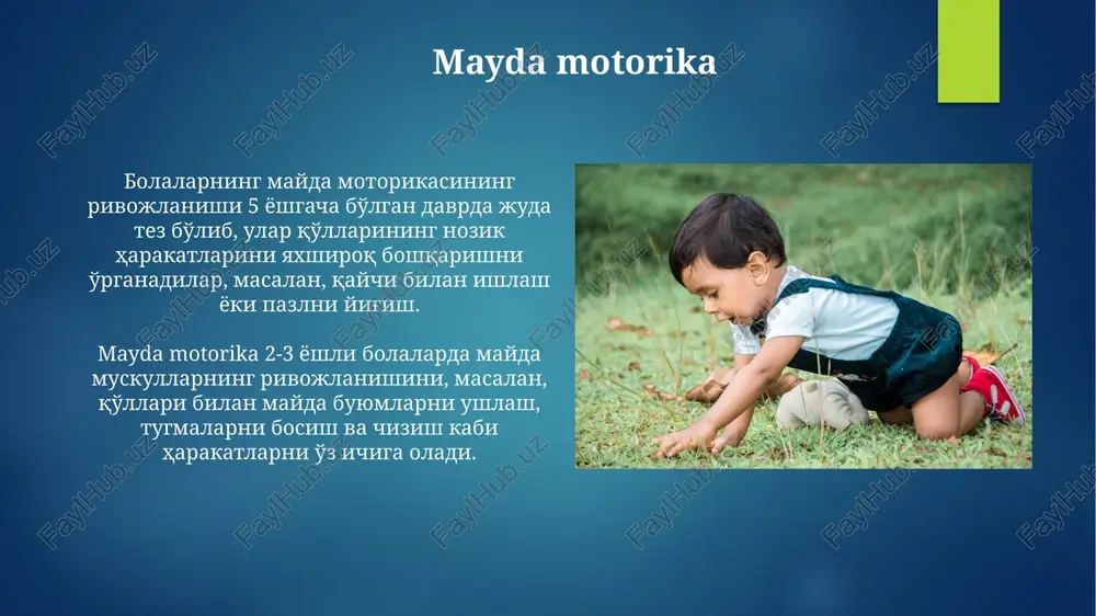 imkon beradi. sog'lom ovqatlanishning roli sog'lom ovqatlanish 2-6 yoshgacha bo'lgan bolalarning suyak zichligini oshirishda muhim rol o'ynaydi, kaltsiy va d vitamini kabi muhim minerallar ta'minoti orqali skelet sistemasining rivojlanishiga ijobiy ta'sir ko'rsatadi. yaxshi ovqatlanish, bolaning energiya darajasini oshirib, 30% gacha jismoniy faollikni yaxshilaydi va shu bilan mushaklarning o'sishini va umumiy motor rivojlanishini tezlashtiradi. mushaklarning rivojlanishi va kuchlanishi yosh bolalarda mushaklarning rivojlanishi 2 yoshga kelib sezilarli darajada kuchayib, nozik motorika ko'nikmalarini rivojlanishiga 30% hissa qo'shadi. mushaklarning gipertonusi yoki gipotonusi kabi nuqsonlar 3-4 yosh oralig'ida aniqlanishi mumkin, bu esa bolaning harakat faoliyatiga salbiy ta'sir ko'rsatadi. bosh atrofi va tananing proporsional o'sishi tana proporsiyalari yoshga qarab o'zgaradi; yangi tug'ilgan chaqaloqlarning boshi tanasiga nisbatan kattaroq bo'lsa, 2 yoshga kelib, tana uzunligi bosh atrofi bilan proportsionalroq bo'ladi. bolaning bosh atrofi tug'ilishda taxminan 34-35 sm ni tashkil qiladi va birinchi yilda tez o'sadi, taxminan 12 sm ga yetganda, miya rivojlanishining yuqori sur'atini aks ettiradi. sezgi organlari …