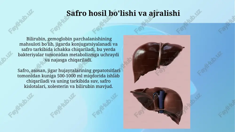 jigar fiziologiyasi - Page 3