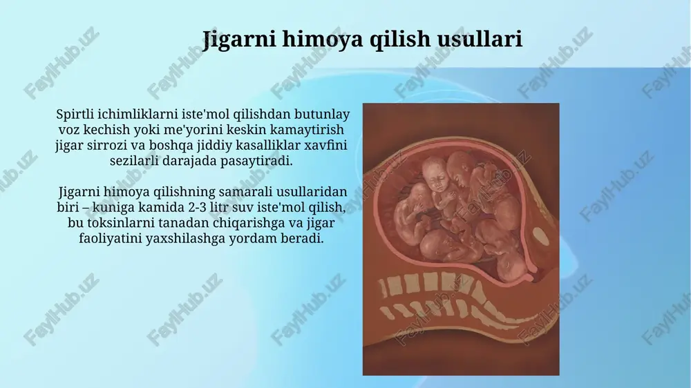 r darajasiga etadi. tug'ilishdan oldin, jigarning faol detoksifikatsiya fermentlari, jumladan, sitoxrom p450 izozimlari, homiladorlikning 20-haftasidan boshlab sezilarli darajada ifodalana boshlaydi. jigar qon oqimining oʻzgarishi jigarga qon oqimi tugʻilishdan oldin, portal tomirlardan asosan 50% ni tashkil qilsa, tugʻilgandan keyin, sistemik sirkulyatsiyadan keladigan qon oqimi ustunlik qiladi. postnatal davrda jigar qon oqimining oʻzgarishi, neonatal davrda yuqori boʻlib, keyin asta-sekin pasayib, kattalar qiymatlariga yaqinlashadi. jigar funksiyalarining shakllanishi jigarning tugʻilishdan oldingi rivojlanishida, 8-haftaga kelib, asosiy jigar hujayralari – gepatotsitlar faol ravishda koʻpaya boshlaydi va bilirubin almashinuvi jarayonlari boshlanadi. postnatal davrda, birinchi 3 oy ichida jigar o'sish sur'ati yuqori bo'lib, jigar fermentlari darajasi katta o'zgarishlarga uchraydi va glyukoneogenez kabi muhim funksiyalari shakllanadi. e'tiboringiz uchun rahmat @taqdimot_robot image2.jpg image3.jpg image4.jpg image5.jpg image6.jpg image7.jpg image8.jpg image9.jpg image10.jpg image11.jpg image12.jpg image13.jpg image1.png