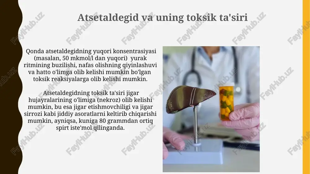 bilan og'rigan bemorlarda 30% dan ortiq hollarda gepatosellulyar karsinoma (jigar saratoni) xavfi ortadi. jigar sirrozi bilan kasallangan bemorlarda etil spirti metabolizmining buzilishi, alt va ast kabi jigar fermentlarining 5-10 baravar oshishiga olib keladi. etanolning jigarga ta'siri surunkali alkogolli ichimliklarni iste'mol qilish natijasida jigar sirroziga olib keladigan fibrozning rivojlanishi jigar hujayralarining o'limiga va jigar to'qimasining qaytarib bo'lmaydigan shikastlanishiga olib kelishi mumkin. etanolning jigarga ta'siri, uning metabolizmi jarayonida sitochrom p450 2e1 fermentining faollashuvi natijasida jigar hujayralarining lipid peroksidlanishiga olib kelishi mumkin, bu esa jigar steatoziga va yallig‘lanishiga sabab bo‘ladi. klinik tekshiruvlar va diagnostika usullari ultratovush tekshiruvi jigar tuzilmasini, hajmini va uning ichidagi o'zgarishlarni (masalan, siroz, yog'li jigar kasalligi) aniqlashda muhim diagnostik usul hisoblanadi, o'rtacha tekshirish vaqti 15-20 minutni tashkil etadi. biopsiya – jigar to'qimasining kichik bir qismini olib, mikroskop ostida tekshirish orqali jigar kasalliklarining aniq diagnostikasini beradigan invaziv usul bo'lib, natijalar 7-10 kun ichida tayyor bo'ladi. jigar fermentlari va ularning vazifalari sitoxrom …
