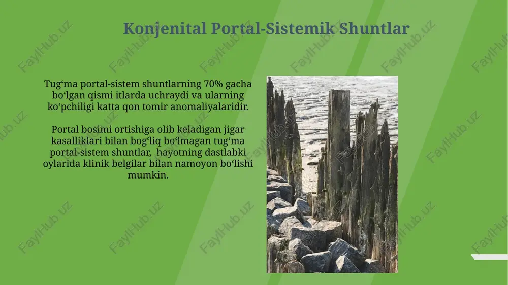 sida 1-darajali giperammonemiya va ensefalopatiya xavfi ortadi, bu esa bemorlarning hayot sifatini sezilarli darajada pasaytiradi. davolashning konservativ usullari dieta terapiyasi, ayniqsa, past natriyli va oqsil miqdori cheklangan dieta, portal gipertenziyasi bilan bog'liq suyuqlik to'planishini va asoratlarni kamaytirishga yordam beradi, kunlik tuz iste'moli 2 grammdan oshmasligi kerak. endoskopik vena usullarini qo'llashdan oldin, portali gipertenziyani boshqarish maqsadida, gemorroyga qarshi preparatlar, masalan, 5%li gidrokortizon malhami kuniga 2 marta qo'llash mumkin, bu shish va yallig'lanishni kamaytiradi. transjugulyar intrahepatik portosistemik shunt (tips) tips protseduralari o'rtacha 30-60 minut davom etadi va bemorlarning aksariyati jarrohlikdan keyingi birinchi 24 soat ichida kasalxonada kuzatiladi. tipsning asoratlari, jumladan, ensefalopatiya va shuntning trombozi, taxminan 10-30% hollarda kuzatiladi, bu esa qo'shimcha davolanishni talab qilishi mumkin. shuntning asoratlari shuntning og'irligi 1-3 ball bilan baholanadi va bu hayvonning klinik alomatlarining og'irligi, qon biokimyo ko'rsatkichlari va yashash muddatiga ta'sir qiladi. portal-sistemik shuntlarning 70% gacha bo'lgan qismi tug'ma bo'lib, ko'pincha kichik hayvonlarda uchraydi va jigar sirrozi …