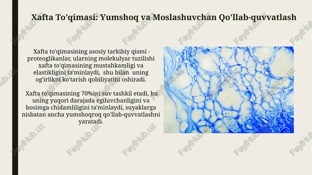 xafta to'qimasi - Page 3
