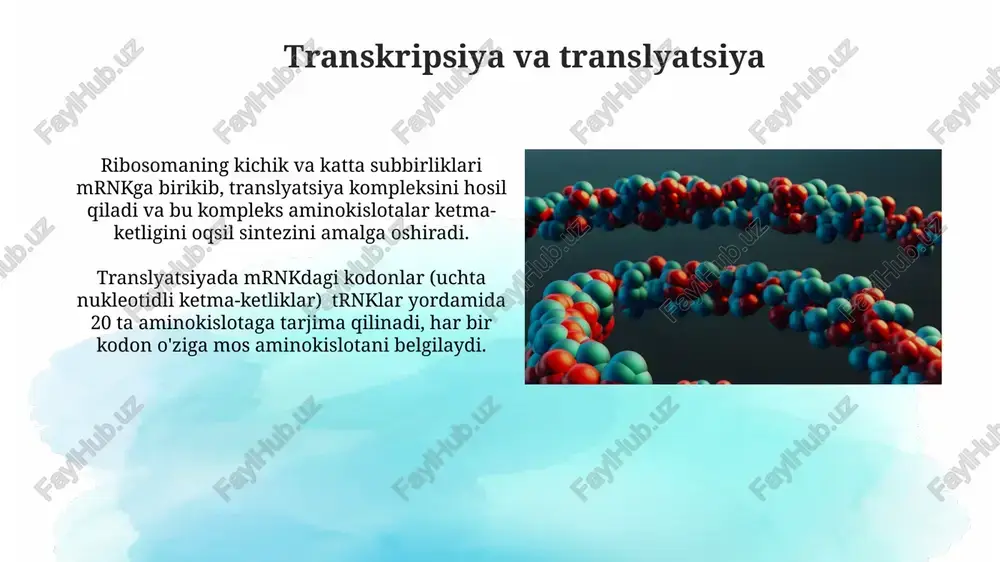 mumkin, lekin faqat o'g'illarda kasallik namoyon bo'ladi. mutatsiyalar va ularning turlari nukleotidlarning o'zgarishiga olib keluvchi nuqtali mutatsiyalar misol uchun, missens mutatsiyasi (omin kislotaning o'zgarishi) va nonsens mutatsiyasi (stop-kodonning paydo bo'lishi) kabi turlarga bo'linadi, bular 1-2 nukleotidning o'zgarishi bilan yuzaga keladi. krupnie deletsii va insertsii (1000 ta va undan ortiq nukleotidlarning yo'qolishi yoki qo'shilishi) genining strukturasini buzib, oqsilning sintezini buzishi yoki to'xtatishi mumkin, bu esa jiddiy kasalliklarga olib keladi. autosomal retsessiv kasalliklar fenotipik ifodalanish uchun ikkita mutatsiyalangan allel (homozigot holat) kerak, heterozigot tashuvchilar esa kasallik alomatlarini koʻrsatmaydi. ushbu kasalliklarning namoyon boʻlish chastotasi taxminan 25% ni tashkil etadi, agar ota-onalar ikkalasi ham retsessiv allelning tashuvchisi boʻlsa. e'tiboringiz uchun rahmat @taqdimot_robot image2.jpg image3.jpg image4.jpg image5.jpg image6.jpg image7.jpg image8.jpg image9.jpg image10.jpg image11.jpg image12.jpg image13.jpg image1.png