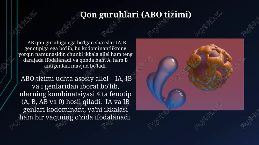 lanishiga ta'sirini o'z ichiga oladi, bu 12:3:1 yoki 9:3:4 kabi odatiy mendeldan farq qiladigan nisbatlarni keltirib chiqaradi. allel genlarning o'zaro ta'siri 9:3:3:1 nisbatida kuzatiladigan dihibridli o'zaro chatishtirishda aniq ko'rinadi, bu erda har bir allel ikkinchisiga nisbatan dominant yoki resessiv bo'lishi mumkin. hla tizimi hla-a, hla-b va hla-dr lokuslari eng ko'p o'rganilgan va kasalliklarga moyillikning genetik markerlari sifatida keng qo'llaniladi, ularning har biri o'nlab allellarga ega. hla tizimi odam organizmida 6 ta asosiy lokusdan iborat bo'lib, har bir lokusda ko'plab allellar mavjudligi sababli, juda katta genetik xilma-xillikni ta'minlaydi. epistaz epistaz retsessiv yoki dominant bo'lishi mumkin, bu esa 9:7 yoki 12:3:1 kabi turli fenotipik nisbatlarning hosil bo'lishiga olib keladi. epistatik o'zaro ta'sirlar natijasida 16 ta mumkin bo'lgan genotip o'rniga kamroq fenotipik sinflar hosil bo'ladi, bu genlarning o'zaro bog'liqligidan dalolat beradi. e'tiboringiz uchun rahmat @taqdimot_robot image1.jpg image2.jpg image3.jpg image4.jpg image5.jpg image6.jpg image7.jpg image8.jpg image9.jpg image10.jpg image11.jpg image12.jpg