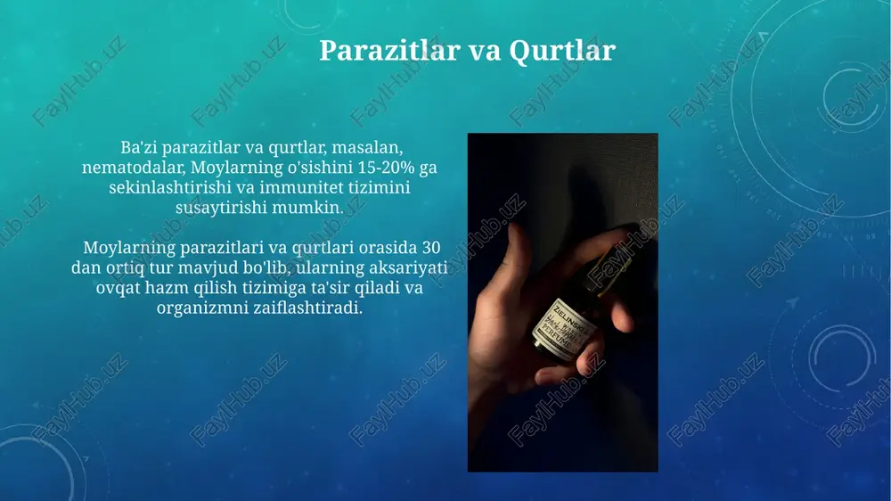 iy dushmanlarni qo'llash, kimyoviy usullar bilan solishtirganda, atrof-muhitga 2 barobar kam zarar yetkazadi va hosilning 10% gacha saqlanishiga yordam beradi. zararli viruslar "zararli viruslar"ning ba'zi turlari, o'rtacha 500 dan ortiq faylni bir necha daqiqada yuqtirishi va tarmoq orqali tez tarqalishi mumkin. zararli dasturlar, jumladan, "zararli viruslar", tizim resurslarini 70% gacha egallab olishi va kompyuterning ishlash tezligini sezilarli darajada pasaytirishi mumkin. e'tiboringiz uchun rahmat @taqdimot_robot image3.png image4.jpg image5.jpg image6.jpg image7.jpg image8.jpg image9.jpg image10.jpg image11.jpg image12.jpg image13.jpg image14.jpg