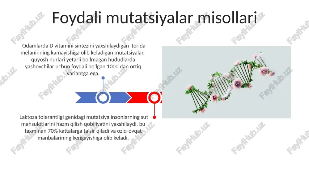 ortig'i neytral yoki ozgina zararli bo'lib, faqat 10% atrofida foydali mutatsiyalarni keltirib chiqaradi, bu esa genetik xilma-xillikning muhim manbai hisoblanadi. neytral mutatsiyalar neytral mutatsiyalar populyatsiyada genetik o'zgaruvchanlikni saqlashga yordam beradi va tabiiy seleksiyaning ta'siri ostida emas, genetik sürüklenme orqali tarqalishi mumkin. neytral mutatsiyalar organizmning fenotipiga sezilarli taʼsir ko'rsatmaydi, chunki ular genlarning funksiyasini o'zgartirmaydi yoki o'zgarish juda kichik bo'ladi, taxminan 1% dan kam. zararli mutatsiyalar misollari xujayralardagi brca1 va brca2 genlaridagi mutatsiyalar ko'krak va tuxumdon saratoni xavfini sezilarli darajada oshiradi, ba'zi hisob-kitoblarga ko'ra, hayot davomida bu kasalliklarga chalinish xavfini 50-80% ga yetkazishi mumkin. sikl hujayra geni mutatsiyalarining 10% dan ko'prog'i gemoglobin strukturasining o'zgarishiga olib keladi, bu esa oraksimon anemiya kabi jiddiy qon kasalliklariga sabab bo'ladi. e'tiboringiz uchun rahmat @taqdimot_robot image4.jpg image5.jpg image6.jpg image7.jpg image8.jpg image9.jpg image10.jpg image11.jpg image12.jpg image13.jpg image14.jpg image15.jpg image1.jpeg image2.jpeg