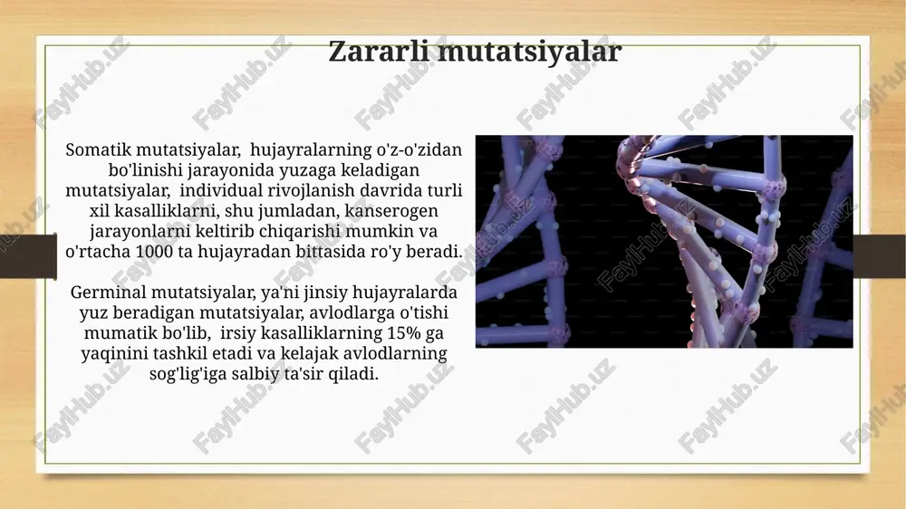 oslashish imkoniyatini yaxshilashi mumkin. dnkdagi o'zgarishlar dnkdagi zararli mutatsiyalar turli xil kasalliklarga, jumladan, saraton, kistoz fibroz va gemofiliyaga olib kelishi mumkin, bu esa 100000 tug'ilishda 1-2 holatni tashkil qiladi. dnkdagi o'zgarishlarning 90% dan ortig'i neytral hisoblanadi, ya'ni organizm funksiyasiga sezilarli ta'sir ko'rsatmaydi va fenotipik o'zgarishlarga olib kelmaydi. foydali mutatsiyalar daromadli mutatsiyalar o'simliklarning hosildorligini 20% ga oshirishi mumkin, bu oziq-ovqat xavfsizligi uchun muhim ahamiyatga ega. ba'zi mutatsiyalar organizmlarga yangi muhit sharoitlariga moslashishga yordam beradi, masalan, 10% ga chidamlilikni oshiradigan mutatsiyalar. saraton va mutatsiyalar dna ta'mirlash mexanizmlaridagi mutatsiyalar saraton xavfini oshiradi, chunki bu mexanizmlar dnkdagi shikastlanishlarni tuzatishga yordam beradi va ularning buzilishi mutatsiyalar sonini ko'paytiradi. onkogenlar deb ataladigan mutatsiyalangan genlar hujayra o'sishini tezlashtiradi, masalan, ras genidagi mutatsiya ko'plab saraton turlarining rivojlanishida muhim rol o'ynaydi. genom mutatsiyalari genom mutatsiyalarining 90% dan ortig'i neytral hisoblanadi, ya'ni ular organizmning funksiyalariga sezilarli ta'sir ko'rsatmaydi va tabiiy seleksiya jarayonida yo'qoladi. ba'zi mutatsiyalar, masalan, bitta nukleotidning o'zgarishi (snp), …