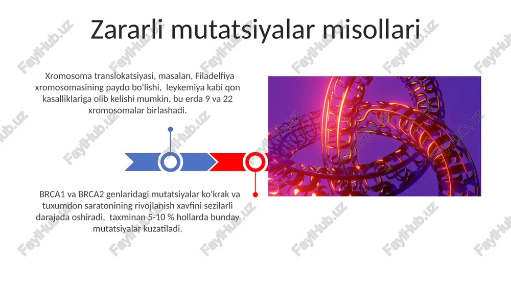 qlash usullari pcr (polymerase chain reaction) texnikasi ma'lum bir dnk ketma-ketligini ko'paytirib, bir necha nusxada mutatsiyalarni, masalan, snp (single nucleotide polymorphism) ni aniqlashga imkon beradi. fish (fluorescence in situ hybridization) usuli xromosomalarni rangli bo'yash orqali 5 dan ortiq xromosoma anormalliklarini, shu jumladan translokatsiyalarni aniqlaydi. kelajakdagi tadqiqotlar 5000 dan ortiq odamlar genotiplarini va fenotiplarini o'rganish orqali kam uchraydigan mutatsiyalar va ularning inson salomatligiga ta'sirini aniqlash bo'yicha genomik assotsiatsiya tadqiqotlari muhim ahamiyat kasb etadi. mutagenezning turli xil turlarining (fizik, kimyoviy, biologik) inson genomiga ta'sirini kvantitativ va sifat jihatdan baholash uchun keng miqyosli epidemiologik tadqiqotlar o'tkazish zarur. kasalliklar va mutatsiyalar ko'pgina genetik kasalliklar, masalan, 1000 dan ortiq turdagi mutatsiyalar bilan bog'liq bo'lgan kistoz fibroz kabi, mutatsiyalar natijasida yuzaga keladi. odamlarda taxminan 100 million dnk bazalarining o'zgarishi (snp) kuzatiladi, ularning bir qismi zararsiz bo'lsa-da, ba'zilari turli xil kasalliklarni keltirib chiqarishi mumkin. e'tiboringiz uchun rahmat @taqdimot_robot image4.jpg image5.jpg image6.jpg image7.jpg image8.jpg image9.jpg image10.jpg image11.jpg image12.jpg …