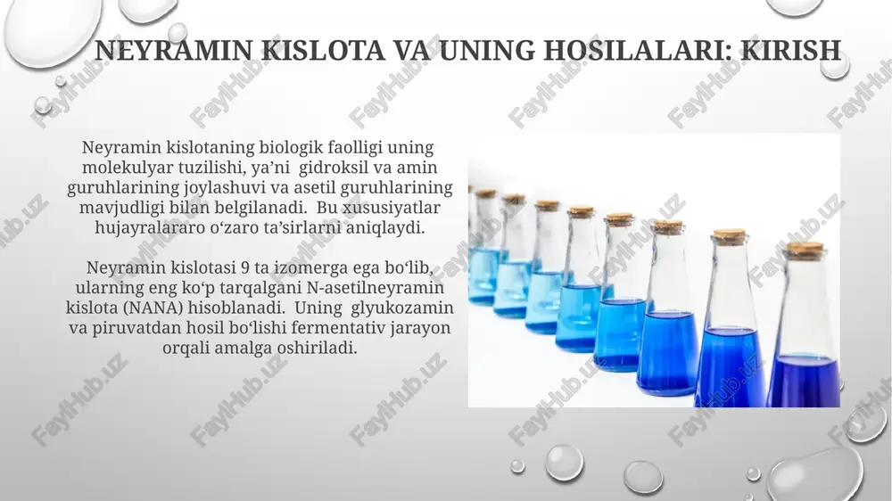 ichidagi signal uzatish jarayonlarida muhim roli borligi isbotlangan, masalan, xotira jarayonlari va o'rganishda. influenza virusi kabi ba'zi viruslar hujayraga yopishishi va infeksiyani boshlashi uchun sialik kislotalarni retseptor sifatida ishlatadi, shuning uchun ular antiviral dorilarning maqsadi hisoblanadi. sialik kislotalar: ta'rif va turlari sialik kislotalarning asosiy vazifasi hujayra-hujayra o'zaro ta'siri va immun tizimining faoliyatini tartibga solishda namoyon bo'ladi, ularning 8 turi inson organizmida uchraydi. o'zgaruvchan n- va o-atsetat guruhlari bilan 50 dan ortiq turdagi sialik kislotalar mavjud bo'lib, ularning xususiyatlari bu guruhlarning joylashishiga bog'liq. sialik kislotalar va infektsion kasalliklar sialik kislotalarning 9 ta turli izomeri mavjud boʻlib, ularning har biri turli xil viruslar va bakteriyalar bilan oʻzaro taʼsirining oʻziga xos xususiyatlarini namoyon qiladi, bu esa infektsiyaning kechishiga taʼsir qiladi. sialik kislotalar metabolizmining buzilishi, masalan, 20 dan ortiq turdagi genetik kasalliklarga olib kelishi mumkin, bu esa organizmni turli infektsiyalarga nisbatan zaiflashtiradi. e'tiboringiz uchun rahmat @taqdimot_robot image3.png image4.jpg image5.jpg image6.jpg image7.jpg image8.jpg image9.jpg image10.jpg …