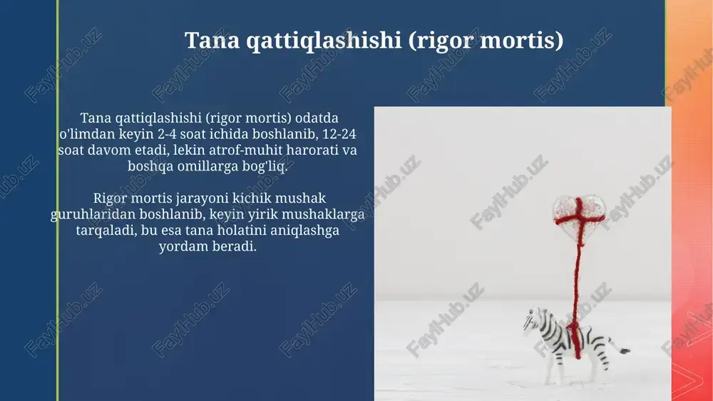 marhumning to'liq shaxsiy ma'lumotlari, tug'ilgan sanasi va o'lim sababini ko'rsatuvchi 10 ta asosiy diagnostik kodlardan biri yoziladi. sud-tibbiy ekspertiza sud-tibbiy ekspertiza o‘lim sababini aniqlash uchun 30 dan ortiq turli tekshiruvlarni, shu jumladan toksikologik tahlillarni va gistologik tekshiruvlarni o‘z ichiga olishi mumkin. sud-tibbiy ekspertizaning xulosasi, odatda, o‘lim sababini, mexanizmini va sharoitlarini ko‘rsatuvchi batafsil 5-10 betlik hujjat shaklida bo‘ladi. tana parchalanishi (putrefação) putrefaksiya jarayonida gaz hosil bo‘lishi (gaz ishlab chiqarish) o‘lik tananing shishishiga va yuzaki qon tomirlarining ko‘karishiga (livor mortis) olib keladi, bu jarayon 24-48 soat ichida boshlanishi mumkin. tana parchalanishining tezligi atrof-muhit harorati, namlik va bakteriyalar faolligiga bog‘liq bo‘lib, 20-30°c haroratda taxminan 2-3 kun ichida sezilarli o‘zgarishlar kuzatiladi. reflekslarning yo'qolishi reflekslarning yo'qolishi, masalan, o'quvchi refleksining yo'qligi yoki korneal refleksning 5-10 soniyadan keyin tiklanmasligi, miya o'limining aniq belgilaridan biri hisoblanadi. chuqur komatoz holatda nafas olish va yurak urishining susayishi bilan birga, reflekslarning, jumladan, tendon reflekslari (masalan, patellar refleksi) va teri reflekslarining butunlay …