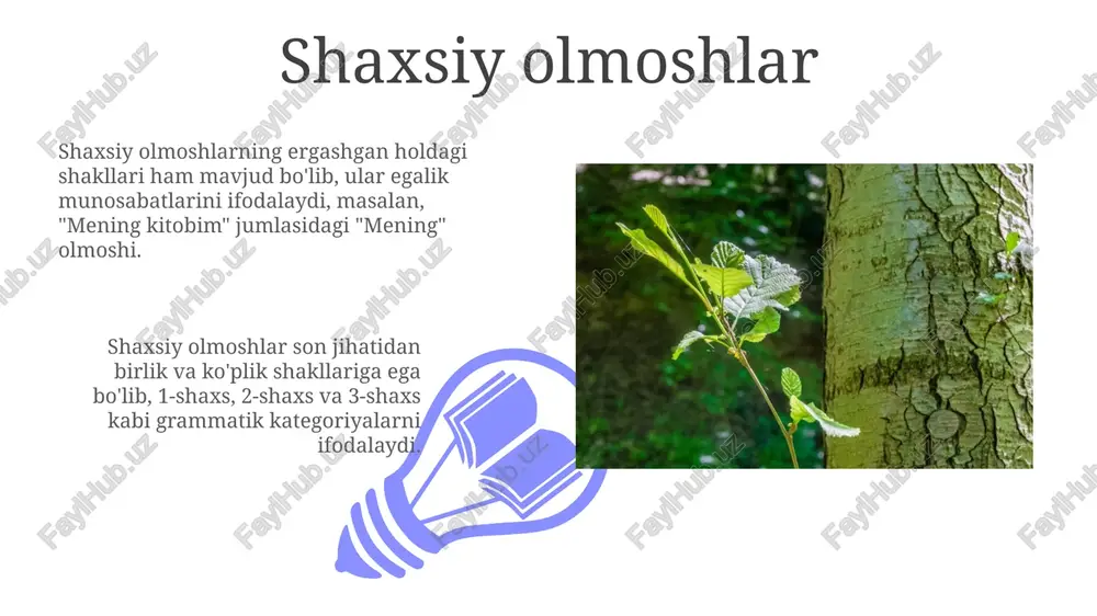 olmoshining xususiyatlari va turlari - Page 3