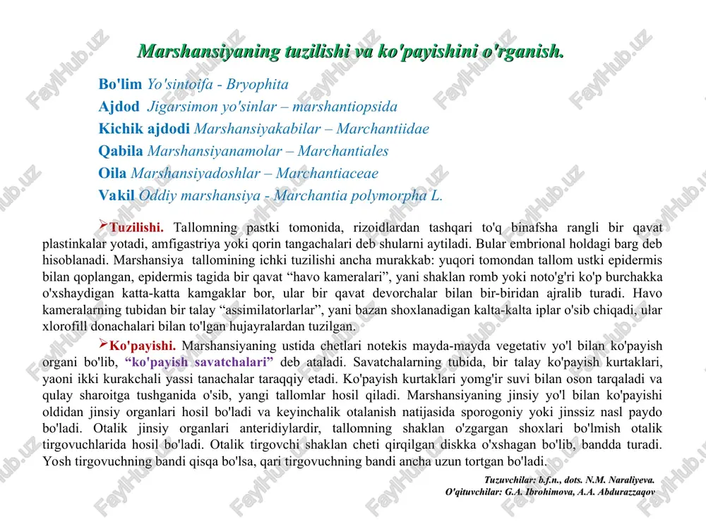 andi qisqa bo'lsa, qari tirgovuchning bandi ancha uzun tortgan bo'ladi. tuzuvchilar: b.f.n., dots. n.m. naraliyeva. o'qituvchilar: g.a. ibrohimova, a.a. abdurazzaqov marshansiyaning tuzilishi va ko'payishini o'rganish. tuzuvchilar: b.f.n., dots. n.m. naraliyeva. o'qituvchilar: g.a. ibrohimova, a.a. abdurazzaqov marshantiya – marchantia 1 – anteriydiyli (erkak) tallom (qattana): 2 – arxegoniyli (urg’ochi) tallom (qattana). cho'qmoqli plaunning tuzilishi va ko'payishini o'rganish. bolim plauntoifa - lycopodiopfita ajdod plaunsimonlar - lycopodiopsida qabila plaunnamolar - lycopodioles oila plaundoshlar - lycopodiaceae turkum plaun – lycopodium vakil cho'qmoqli plaun – lycopodium clavatum tarqalishi. plaundoshlar oilasiga 4ta turkum 200 dan ortiq turlarni o'z ichiga oladi. ular tropik zonadan to tundragacha tarqalgan. o'rta osiyoda esa tog'lik hududlarda uchraydi. tuzilishi. cho'qmoqli plaun ko'p yillik o't o'simlik. poyasi yotib o'sadi, doim yashil, ko'proq o'rmonlarda o'sadi. poyasi va shoxlari mayda, butun barglari bilan zich qoplangan. epidermis ostida qalin birlamchi po'stloq qavat joylashgan. undan ichkarida epiderma va peritsikl qavati mavjud. poyaning markazida silindrik protostel joylashgan. ksilemasida …