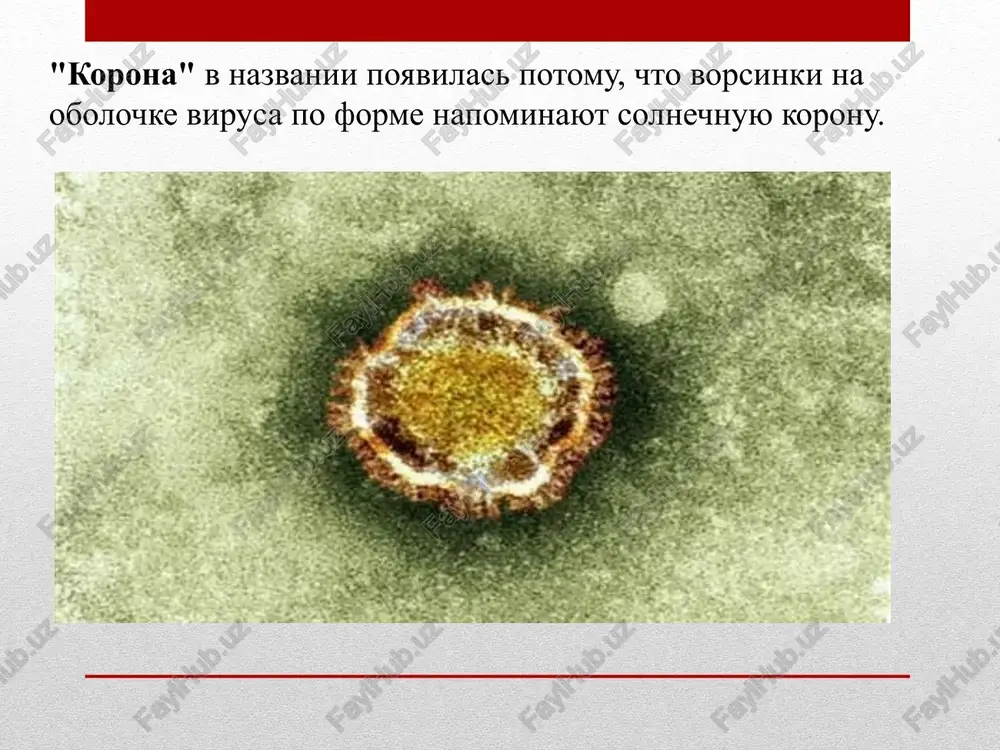 ami infektsionnogo zabolevaniya. zabolevanie mojet vizvat: 1. gigiena ruk - obyazatelnoe mite s milom, dopolnitelno rekomenduetsya ispolzovat kojniy antiseptik (osobenno posle kontakta s litsom, imeyushim priznaki ostrogo respiratornogo zabolevaniya ili predmetami, s kotorimi kontaktiroval etot chelovek); 2. ispolzovanie sredstv individualnoy zashiti (ispolzovat meditsinskie maski v period pod'ema zabolevaemosti orz i pri kontakte s chelovekom, imeyushim priznaki zabolevaniya); 3. regulyarnoe provedeniya uborok v meste projivaniya i raboti s ispolzovaniem moyushix i/ili dezinfitsiruyushix sredstv; 4. chastoe provetrivanie pomesheniya; obshie meri profilaktiki 1. po vozmojnosti izbegat tesnogo kontakta s lyudmi, imeyushimi priznaki infektsionnogo zabolevaniya; 2. ne naxoditsya v pomesheniyax s visokoy skuchennostyu lyudey, gde mojet naxoditsya zabolevshiy chelovek; 3. uvelichit nastorojennost za bezopasnostyu pitaniya - staratsya ne upotreblyat v pishu myasnie polufabrikati, ne podvergayushiesya dostatochnoy termicheskoy obrabotke, nemitix ovoshey i fruktov, vodi iz neproverennix istochnikov vodosnabjeniya, a takje napitkov, prigotovlennix no osnove nesterilizovannoy vodi; 4. nesmotrya na otsutstvie vvedennix kakix-libo ogranicheniy na poezdki …