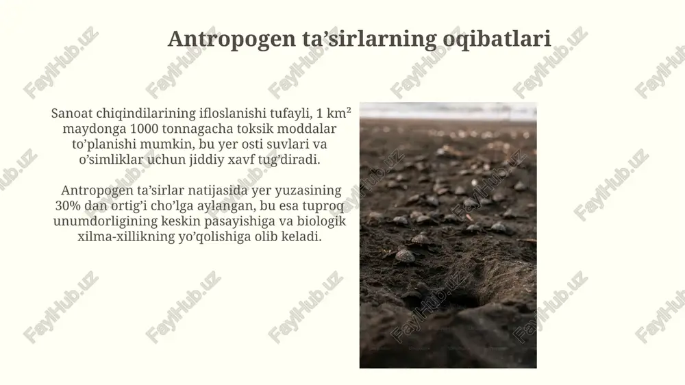 litosferaning ifloslanishi eroziya va degradatsiya - Page 3
