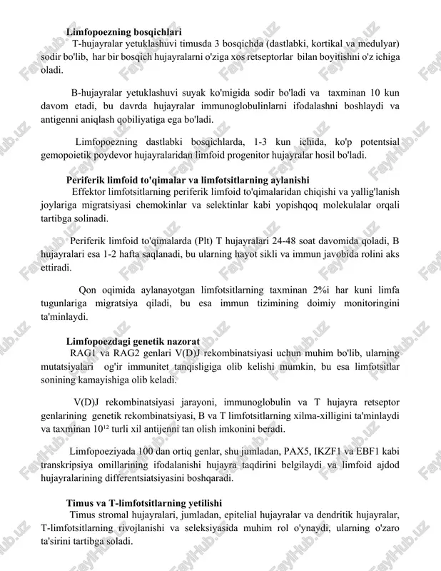 ar yetuklashuvi timusda 3 bosqichda (dastlabki, kortikal va medulyar) sodir bo'lib, har bir bosqich hujayralarni o'ziga xos retseptorlar bilan boyitishni o'z ichiga oladi. b-hujayralar yetuklashuvi suyak ko'migida sodir bo'ladi va taxminan 10 kun davom etadi, bu davrda hujayralar immunoglobulinlarni ifodalashni boshlaydi va antigenni aniqlash qobiliyatiga ega bo'ladi. limfopoezning dastlabki bosqichlarda, 1-3 kun ichida, ko'p potentsial gemopoietik poydevor hujayralaridan limfoid progenitor hujayralar hosil bo'ladi. periferik limfoid to'qimalar va limfotsitlarning aylanishi effektor limfotsitlarning periferik limfoid to'qimalaridan chiqishi va yallig'lanish joylariga migratsiyasi chemokinlar va selektinlar kabi yopishqoq molekulalar orqali tartibga solinadi. periferik limfoid to'qimalarda (plt) t hujayralari 24-48 soat davomida qoladi, b hujayralari esa 1-2 hafta saqlanadi, bu ularning hayot sikli va immun javobida rolini aks ettiradi. qon oqimida aylanayotgan limfotsitlarning taxminan 2%i har kuni limfa tugunlariga migratsiya qiladi, bu esa immun tizimining doimiy monitoringini ta'minlaydi. limfopoezdagi genetik nazorat rag1 va rag2 genlari v(d)j rekombinatsiyasi uchun muhim bo'lib, ularning mutatsiyalari og'ir immunitet tanqisligiga …