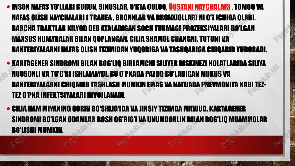 ri bronxial shilliq qavatining biopsiya olishi mumkin. shilliq biopsiya yallig'lanish jarayoni kuchayib ko'rsatish va tuk tuzilishini baholash. davolash asosiy usullari: antibiotiklar. o'pka yallig'lanishi uchun belgilangan bu dorilar bronşektazi, va sinusiti sabab bo'ldi. mumtoz qo'llash antibiotiklar penitsillin, "nafas" ftorxinolonlar guruhiga makrolidleri va narkotik. bronxlar drenaj vazifasini takomillashtirish usullari - postural drenaj, massaj, dastur mucokinetic va mukolitik dorilar, va hokazo ... fizioterapiya. qachon tez-tez qaytalanuvchi bronxit va pnevmoniya operativ davolash bilan talaffuz bronşektazi mavjudligi - olib tashlash (rezeksiyonu) o'pka eng ta'sir maydoni. bemorlarning bunday operatsiya holati sezilarli darajada yaxshilandi keyin. image3.jpg image4.jpg image5.jpg /docprops/thumbnail.jpeg