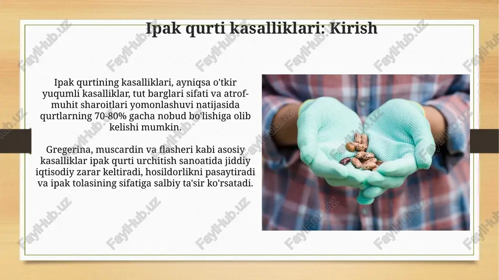 i zararlantirishi mumkin, ayniqsa gigiena qoidalariga rioya qilmaganda. transovarial yo'l bilan kasallik ona qurtidan tuxumga o'tishi kuzatiladi. masalan, nosema bombycis sporalarini o'z ichiga olgan tuxumlar keyingi avlod qurtlariga yuqishi mumkin. kasalliklarni aniqlash va tashxislash kasalliklarni aniqlashda erta bosqichda simptomlarni kuzatish muhim, masalan, tanadagi g'ayritabiiy rang o'zgarishlari va harakatining buzilishi kabi 2-3 kun ichida. tashxis qo'yishda mikroskopik tekshiruvlar katta ahamiyatga ega, ayniqsa nosema bombycis (pebrin) kasalligini aniqlashda, sporalarning soni va morfologiyasi aniqlanadi. kasalliklarning oldini olish va nazorat qilish chora-tadbirlari tadqiqotlar shuni ko'rsatadiki, yaxshi dezinfeksiya kasalliklarning tarqalishini 80-90% ga kamaytiradi. har bir sikldan so'ng 2-3% formaldegid eritmasi bilan tozalash muhim. kasalliklar tarqalishining oldini olish uchun inkubatsiya harorati 24-25°c darajada saqlanishi kerak, shuningdek, namlikni 75-80% ushlab turish kerak. e'tiboringiz uchun rahmat image8.jpg image9.jpg image10.jpg image11.jpg image12.jpg image13.jpg image14.jpg image15.jpg image16.jpg image17.jpg image18.jpg image19.jpg image3.png image4.png