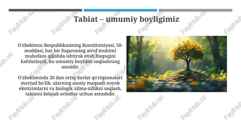 tabiat - umumiy boyligimiz - Page 3