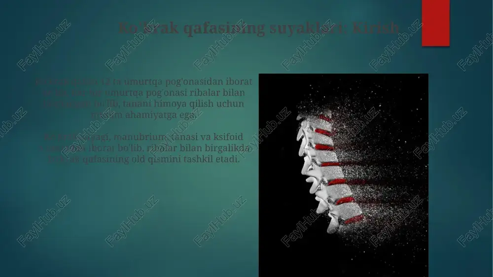 saqlash uchun mexanik to'siq vazifasini bajaradi. qovurg'alararo mushaklar tufayli ko'krak qafasi nafas olish harakatlarida ishtirok etadi. qovurg'alar ko'tarilib va tushib, o'pka ichidagi hajmni 15-20% gacha o'zgartiradi. nafas olishda ko'krak qafasining roli ko'krak qafasi nafas olish paytida muhim rol o'ynaydi, uning hajmi 15-20% ga ko'tariladi va diafragma pastga tushib, o'pkaga havo kirishiga imkon beradi, bosim kamayadi. qovurg'alar harakati va muskullarning qisqarishi ko'krak qafasining hajmini o'zgartiradi, bu esa alveolalarda bosimni pasaytiradi, atmosfera havosini kirishiga yordam beradi, taxminan 500 ml havo kiradi. organlarni himoya qilish qovurg'alar qafasi yurak va o'pka kabi hayotiy organlarni himoya qiladi. bu mexanik himoya, tashqi ta'sirlardan saqlaydi va normal ishlashini ta'minlaydi. qovurg'alar qafasining suyaklari (o'murtqa pog'onasi, qovurg'alar va to'sh suyagi) organlarni shikastlanishdan himoya qiladi va yallig'lanish holatida zararni kamaytiradi. postura va harakatdagi ahamiyati to'g'ri postura umurtqa pog'onasiga bosimni kamaytiradi, bu esa disklararo churralar xavfini pasaytiradi. misol uchun, 90 graduslik burchakda to'g'ri o'tirish bel og'rig'ini kamaytiradi. noto'g'ri postura muskullar va …