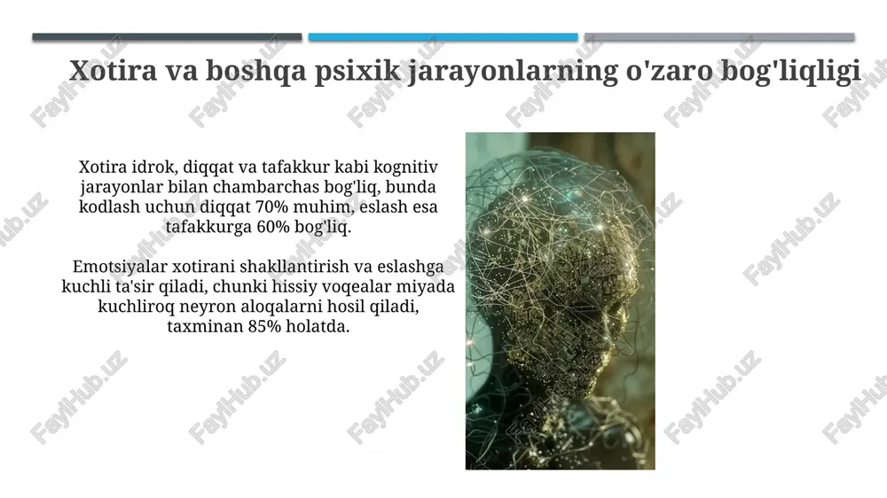 monidan o'tkazilgan tadqiqotlar, protsedural xotira mahoratni egallash va avtomatlashtirishda 7/24 muhim rol o'ynashini ko'rsatdi. xotira jarayonlari xotira jarayonlari xotirani shakllantirish, saqlash va qayta tiklashning 3 asosiy bosqichini o'z ichiga oladi, ularning har biri kognitiv faoliyatga muhim ta'sir ko'rsatadi. sensorli xotira, qisqa muddatli xotira va uzoq muddatli xotira kabi xotira turlari 7 ± 2 element sig'imiga ega bo'lib, ma'lumotlarni qayta ishlashda farqlanadi. kodlash kodlash – bu xotirada ma'lumotni saqlashning birinchi bosqichi bo'lib, u erda sezgi organlaridan olingan ma'lumotlar neyron faolligi orqali 7±2 birlikka translyatsiya qilinadi. kodlash, shuningdek, semantik kodlash, vizual kodlash va akustik kodlash kabi turlarga bo'linadi. semantik kodlash ma'noni, vizual kodlash tasvirlarni, akustik kodlash esa tovushlarni o'z ichiga oladi. saqlash saqlash, xotira jarayonining bir qismi boʻlib, maʼlumotni kodlashdan keyin miyada ushlab turishni anglatadi; u bir necha soniyadan umr boʻyi davom etishi mumkin. saqlashning neyrobiologik asoslari sinaptik kuchlanish va neyron tarmoqlarining oʻzgarishi bilan bogʻliq boʻlib, ltp (uzoq muddatli potensial) 1973-yilda kashf …