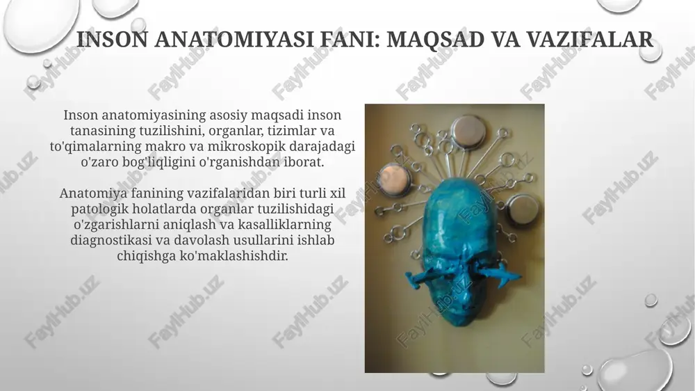 at mexanizmlarini o'rganadi, masalan, 14 ta asosiy mushak guruhining suyaklar bilan 3 ta tekislikdagi o'zaro ta'sirini tahlil qiladi. funktsional anatomiya 20-asrda rivojlangan bo'lib, biomekanika va fizioterapiya kabi sohalarda 10 dan ortiq muhim qo'llanilishga ega. patologik anatomiya patologik anatomiya kasalliklarning morfologik asoslarini, hujayra va to'qimalarning 18-asrda virxov tomonidan asoslangan tuzilishidagi 2 ta patologik o'zgarishlarni o'rganadi. patologik anatomiyaning asosiy maqsadi kasallikning diagnostikasi uchun 3 ta asosiy usulni, biopsiya, operatsiya va autopsiyada olingan 4 ta namunani tahlil qilishdir. anatomik tadqiqot usullari anatomik inyeksiyasi, qon tomirlariga 60-70°c haroratdagi bo'yoqlar kiritish orqali mikrosirkulyatsiyani va organ tuzilishini 3d formatda vizualizatsiya qiladi. rentgenografiya 2d tasvirlar yaratish uchun ionlashtiruvchi nurlanishdan foydalanadi; suyaklar zichligi 1.65 g/sm³ dan ortiq bo'lganligi sababli yaxshi aks etadi. anatomiyaning tibbiyotdagi ahamiyati anatomiya tibbiyotning fundamental asosi bo'lib, jarrohlik operatsiyalari, diagnostika protseduralari va davolash usullarini rejalashtirishda aniq ma'lumotlar beradi. anatomiya inson tanasining tuzilishini o'rganish orqali kasalliklarning sabablarini tushunishga yordam beradi, masalan, organlarning patologik o'zgarishlari va o'smalar …