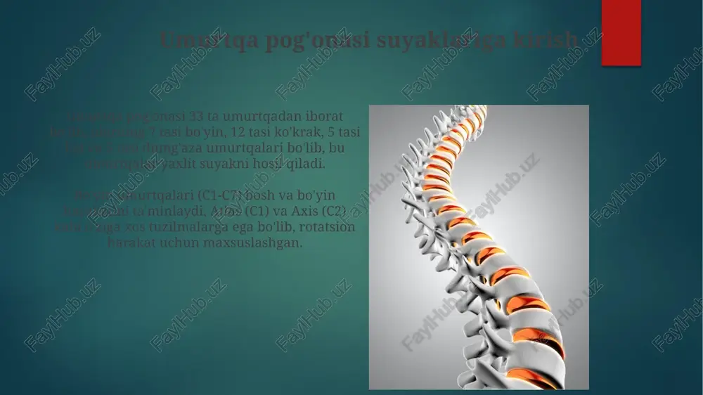 kanali torayib, nerv ildizlariga bosim o'tkazadi, bu esa oyoqlarda og'riq va uyushishga sabab bo'lishi mumkin. sog'lom umurtqa pog'onasini saqlash umurtqa pog'onasini sog'lom saqlash uchun muntazam mashqlar, ayniqsa, core mushaklarini kuchaytiradigan mashqlar (masalan, plank, ko'prik) haftasiga 3-5 marta bajarish muhim. ergonomik muhitni yaratish, kompyuterda ishlaganda ekranni ko'z sathiga moslash, 90 daraja burchak ostida o'tirish va har 30 daqiqada tanaffus qilish bel og'rig'ini kamaytiradi. umurtqa pog'onasi uchun mashqlar va cho'zish umurtqa pog'onasini mustahkamlash uchun pilates mashqlari juda samarali, chunki ular tana markazini (core) maqsadli ravishda ishga soladi va postureni yaxshilaydi. mushaklarni bo'shashtirish va harakatchanlikni oshirish uchun kobra pozitsiyasi kabi orqa tomonni ehtiyotkorlik bilan cho'zish mashqlari 10-15 sekunddan takrorlanadi. umurtqa pog'onasining kelajakdagi tadqiqotlari kelajakdagi tadqiqotlar umurtqa pog'onasini qayta tiklashga qaratiladi, masalan, 3d bosma vertebral implantlar va biologik moslashuvchan materiallar orqali muammolarni hal qilish. genetik tadqiqotlar osteoporoz va umurtqa pog'onasining buzilishi kabi holatlarga moyillikni aniqlashga yordam beradi, bu esa erta tashxis va profilaktik choralarni …