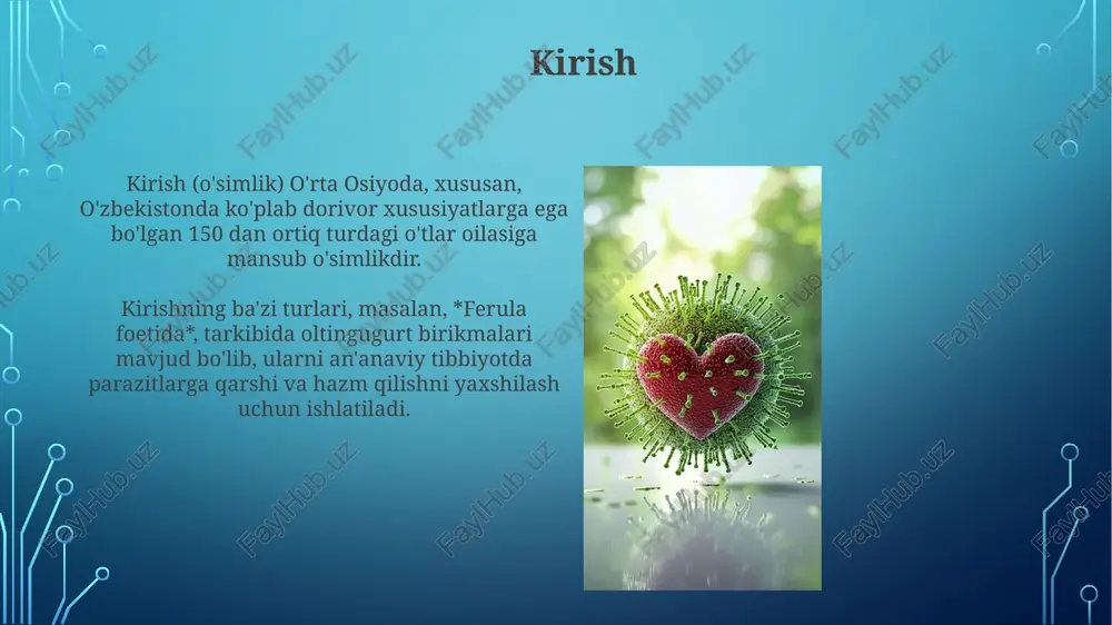 vaktsinalar tarkibida o'ldirilgan yoki susaytirilgan mikroorganizmlar bo'lishi mumkin, bu esa xavfsiz tarzda immun xotirani shakllantiradi va kelajakda kasallikka qarshi himoya qiladi. vaktsinalarning turlari jonli attenue qilingan vaktsinalar zaiflashgan, ammo tirik mikroorganizmlarni o'z ichiga oladi va uzoq muddatli immunitetni ta'minlaydi, lekin immuniteti susaygan shaxslar uchun xavfli bo'lishi mumkin. o'ldirilgan yoki inaktivlangan vaktsinalar o'ldirilgan mikroorganizmlardan foydalanadi, tirik vaktsinalarga qaraganda xavfsizroq, lekin ko'pincha optimal immunitet uchun bir necha dozalar yoki kuchaytiruvchi zarbalarni talab qiladi. sun'iy passiv immunitet: immunoglobulinlar sun'iy passiv immunitetda immunoglobulinlar, masalan, igg antitelolari, homilador ayoldan platsenta orqali bolaga o'tadi, bolani hayotining dastlabki 6 oylarida himoya qiladi. gamma globulinlar, inson yoki hayvon qonidan olingan antitelolarni o'z ichiga oladi, zudlik bilan himoya beradi, lekin bu ta'sir bir necha haftadan 3-4 oygacha davom etadi. immunitetning solishtirma tahlili: tabiiy va sun'iy tabiiy immunitet tug'ma bo'lib, organizmning birinchi mudofaa liniyasi sifatida ishlaydi; masalan, teri va shilliq qavatlar patogenlarni jismoniy to'siq bilan to'sadi. sun'iy immunitet, masalan, emlash …