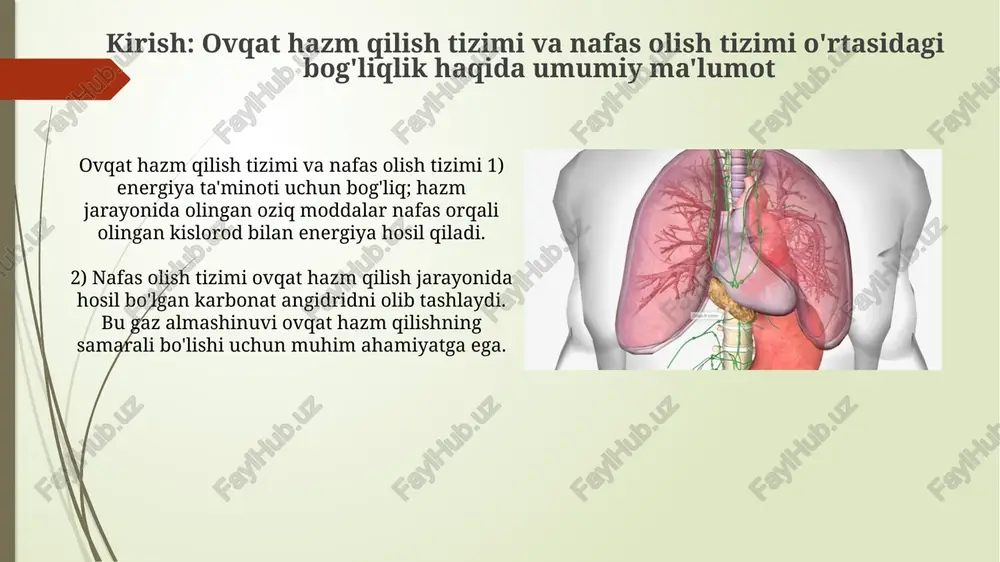 qoladi, balki me'da osti bezini ham bloklaydi, fermentlarning chiqishiga to'sqinlik qiladi va natijada yog'larning so'rilishini 40-60% ga kamaytiradi. xulosa: ovqat hazm qilish va nafas olish tizimlarining sog'lom ishlashining ahamiyati ovqat hazm qilish tizimi sog'lom bo'lishi, masalan, vitamin d (125 mkg) va temir moddasini (8 mg) so'rilishini ta'minlab, immunitetni mustahkamlaydi va energiya darajasini oshiradi. nafas olish tizimining normal ishlashi o'pkadan kislorodni (95-100% saturatsiya) samarali qabul qilishga imkon beradi, bu esa hujayralarning energiya ishlab chiqarishi uchun juda muhimdir. e'tiboringiz uchun rahmat image2.jpg image3.jpg image4.jpg image5.jpg image6.jpg image7.jpg image8.jpg image9.jpg image10.jpg image11.jpg