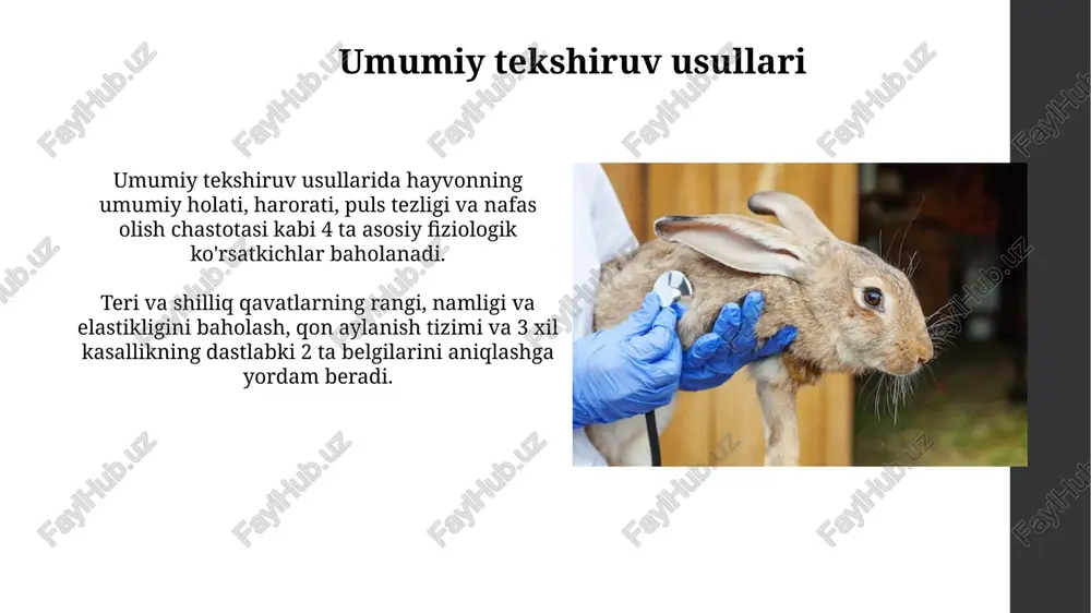 hayvonlarni tekshirish usullari - Page 3