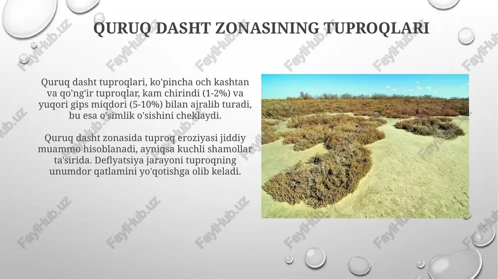 quruq dasht zonasining tuproqlari - Page 3