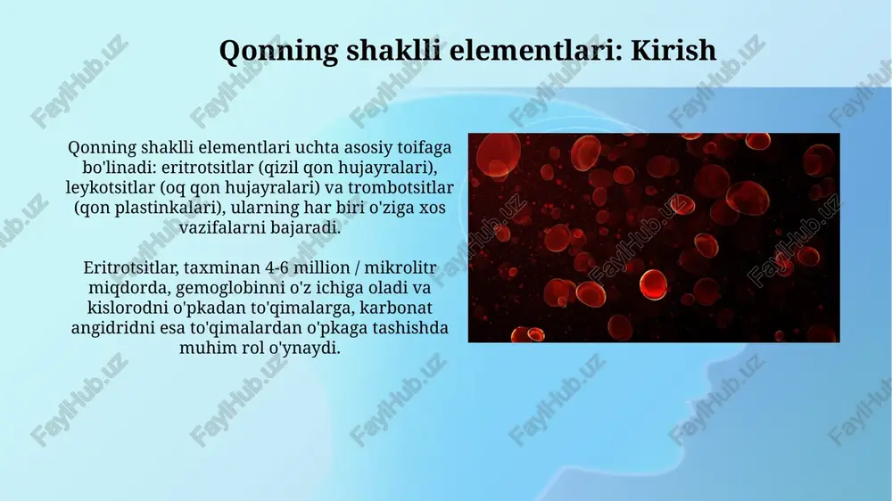 ayralari differentsiatsiyalanib, qonning sakkizta asosiy shaklli elementlarini hosil qiladi. eritropoez jarayoni, qizil qon hujayralari shakllanishi, taxminan 120 kun umr ko'rish davriga ega bo'lgan 2 xil eritrotsitlarni ishlab chiqaradi. qon hujayralari kasalliklari leykemiyalar, qon hujayralari kasalliklarining bir turi, anormal oq qon hujayralarining koʻpayishi bilan xarakterlanadi, suyak iligini toʻldirib, sogʻlom hujayralarni siqib chiqaradi. anemiyalar, qizil qon hujayralari yoki gemoglobin darajasining pastligi bilan bogʻliq boʻlgan qon kasalliklari boʻlib, kislorod tashish qobiliyatini pasaytiradi va charchoq, holsizlikka olib keladi. xulosa qonning shaklli elementlari organizmning muhim vazifalarini taʼminlaydi, ularning nisbati 45% dan 55% gacha bo'lib, sog'lig'imiz uchun katta ahamiyatga ega. eritrotsitlar, leykotsitlar va trombotsitlar singari asosiy shaklli elementlar qonning 1 litrida milliardlab bo'lishi mumkin, bu ularning ahamiyatini ko'rsatadi. e'tiboringiz uchun rahmat image3.jpg image4.jpg image5.jpg image6.jpg image7.jpg image8.jpg image9.jpg image10.jpg image11.jpg image12.jpg image13.jpg image14.jpg image1.png