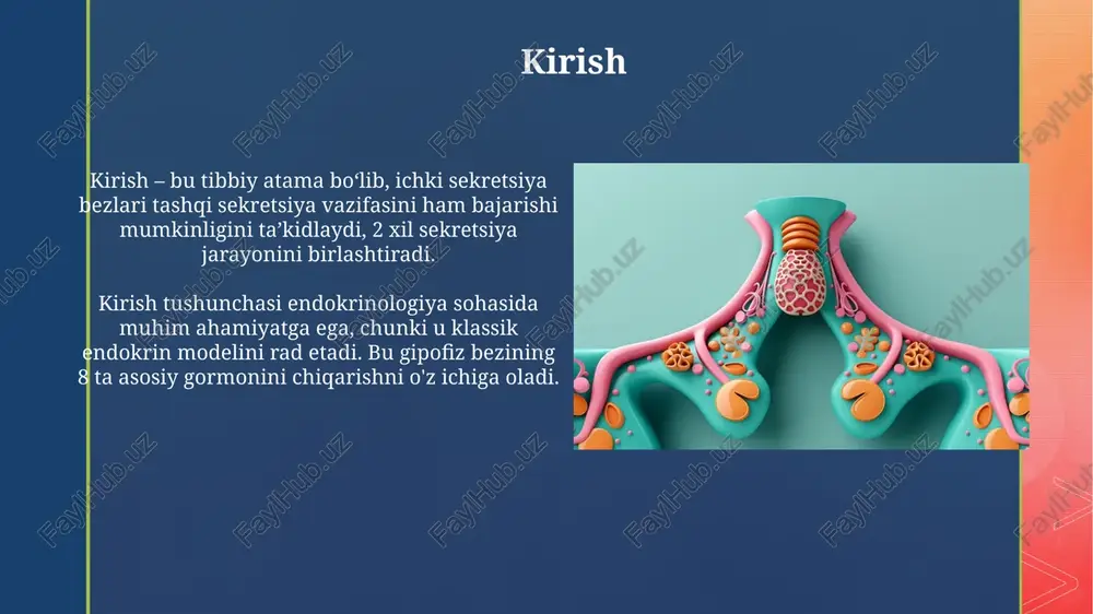 a (buyraklar, teri, o'pka, jigar) chiqindilarni olib tashlashga qaratilgan. gormonlarning parchalanishi va chiqarilishi gormonlarning parchalanishi asosan jigarda sodir bo'ladi, u yerda fermentlar kimyoviy modifikatsiyalarni amalga oshirib, gormonlarning biologik faolligini kamaytiradi yoki yo'q qiladi. buyraklar gormonlar va ularning metabolitlarini siydik bilan chiqarishda muhim rol o'ynaydi; masalan, kichik peptid gormonlar glomerular filtratsiyadan o'tadi. endokrin kasalliklar endokrin kasalliklar ko'pincha metabolik buzilishlarga olib keladi, masalan, 2-toifa diabetda qondagi glyukoza darajasini nazorat qilishning buzilishi kuzatiladi. gormonal nomutanosibliklar, masalan, qalqonsimon bez kasalliklari, t3 va t4 gormonlarining ortiqcha (gipertireoz) yoki kam (gipotireoz) ishlab chiqarilishiga sabab bo'ladi. endokrin tizimning tartibga solinishi endokrin tizimning tartibga solinishi ko'pincha salbiy teskari aloqa mexanizmlari orqali amalga oshiriladi, bunda gormonning yuqori darajasi ishlab chiqarishni kamaytiradi. gipotalamus muhim rol o'ynaydi, gipofiz bezi orqali ko'plab endokrin funktsiyalarni nazorat qiladi; u releasing va inhibiting gormonlarni ishlab chiqaradi. endokrin tizimning ahamiyati endokrin tizimi metabolizm, o'sish va rivojlanish kabi 100 dan ortiq muhim jarayonlarni gormonlar orqali boshqaradi, bu …