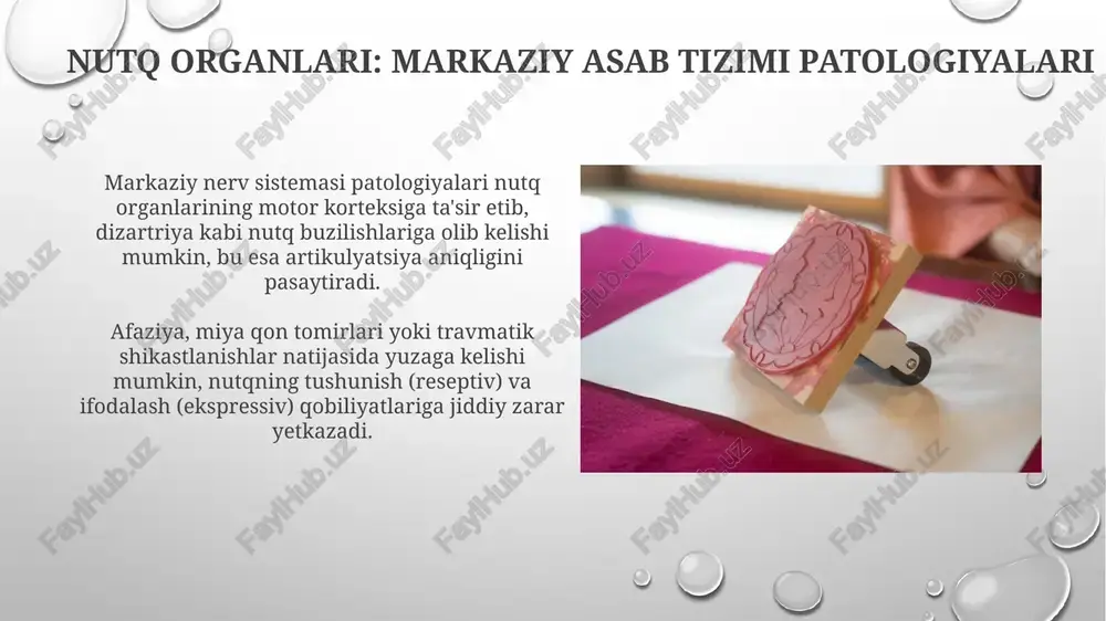 shikastlanishi bilan og'rigan bemorlar uchun foydalidir, 10-12 soat ichida ohang, ritm va urg'uga e'tibor qaratiladi. davolashning farmakologik va jarrohlik yondashuvlari farmakologik davolash nutq buzilishlarida dopamin agonistlari, masalan l-dopa, qo'llanilishi mumkin, bu markaziy nerv sistemasining bazal ganglia funksiyasini yaxshilashga yordam beradi. jarrohlik yondashuvlar nutq organlarining patologiyalarini bartaraf etish uchun stereotaktik operatsiyalarni o'z ichiga olishi mumkin, ayniqsa tremor va distoniyaga qarshi globus pallidus stimulyatsiyasi (gps). klinik holatlar va amaliy misollar broka afaziyasi, miyaning chap frontal qismining zararlanishi tufayli nutqning ifodali qobiliyatini yo'qotish bilan tavsiflanadi, ammo tushunish saqlanib qoladi, 40-60 yoshdagi bemorlarda ko'proq uchraydi. dizartriya, miya yarim sharlarining falaji natijasida nutq apparati mushaklarining zaiflashishi, natijada nutqning noaniqligi va noto'g'riligi kuzatiladi, og'irlik darajasi 1 dan 5 gacha bo'lishi mumkin. e'tiboringiz uchun rahmat image2.png image5.jpg image6.jpg image7.jpg image8.jpg image9.jpg image10.jpg image11.jpg image12.jpg image13.jpg image14.jpg image15.jpg image3.png